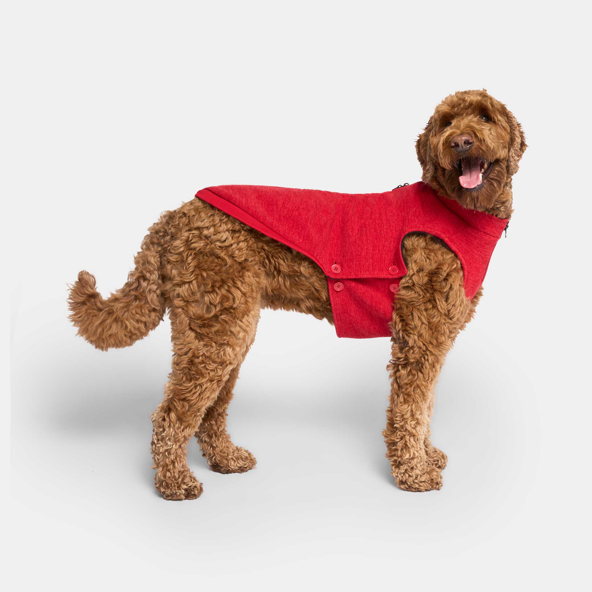 Canada Pooch - Waterproof Sweater- Dog Sweater: Gray / 12