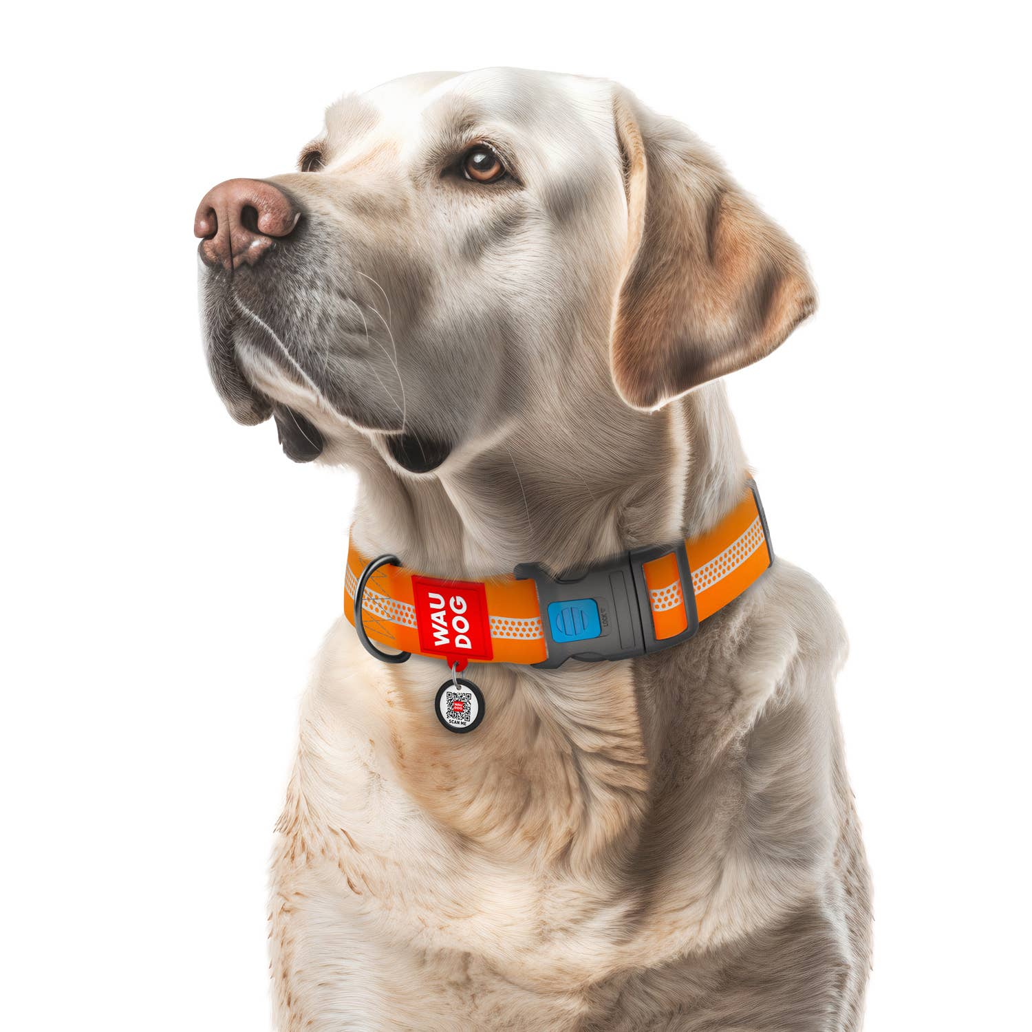 WAUDOG - Collar WAUDOG Waterproof reflective: L / Gray / plastic buckle-fastex
