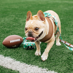 Frenchie - Frenchie Duo Reversible Harness - Touchdown: Medium