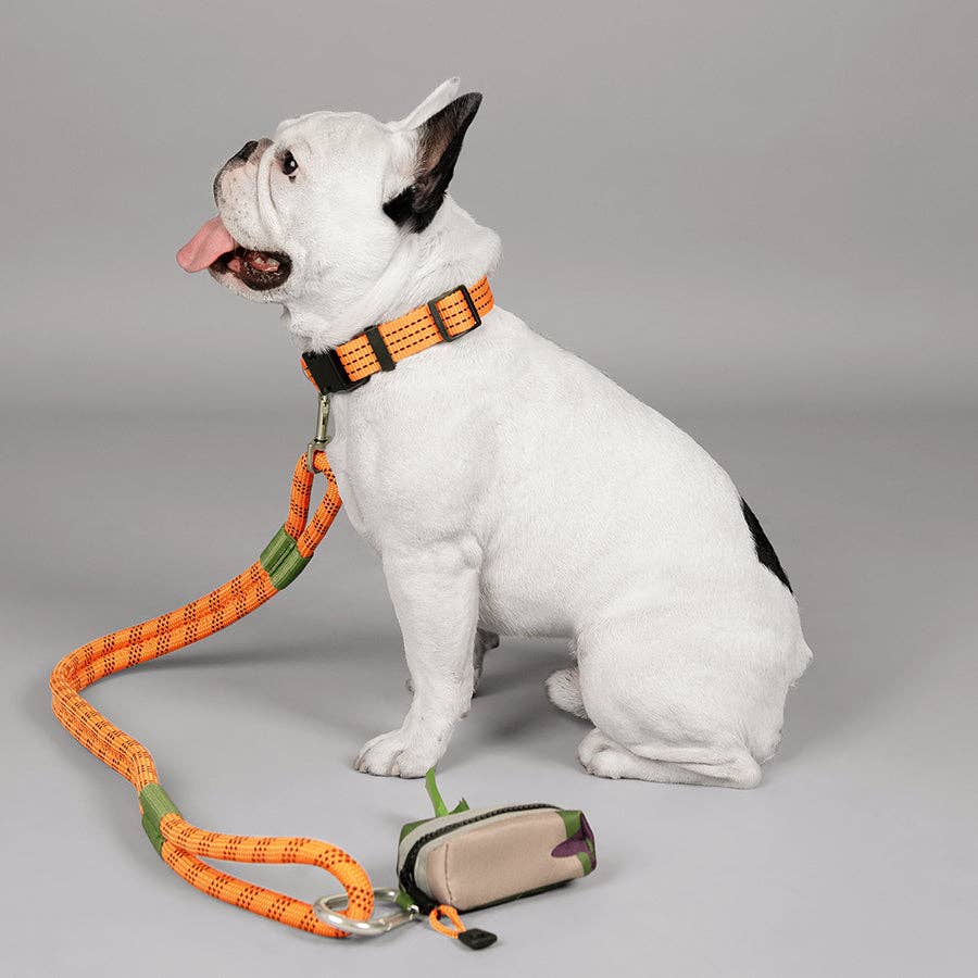 ROVERLUND - LEADER-OF-THE-PACK POOP BAG HOLDER: CAMO / ORANGE