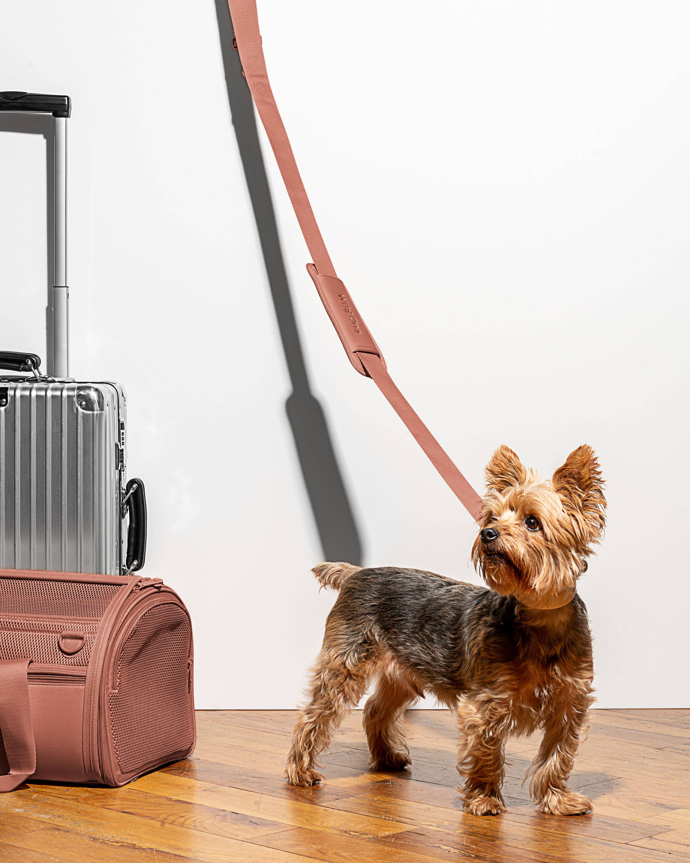 Wild One - Travel TSA Compliant Pet Dog Carrier: Spruce