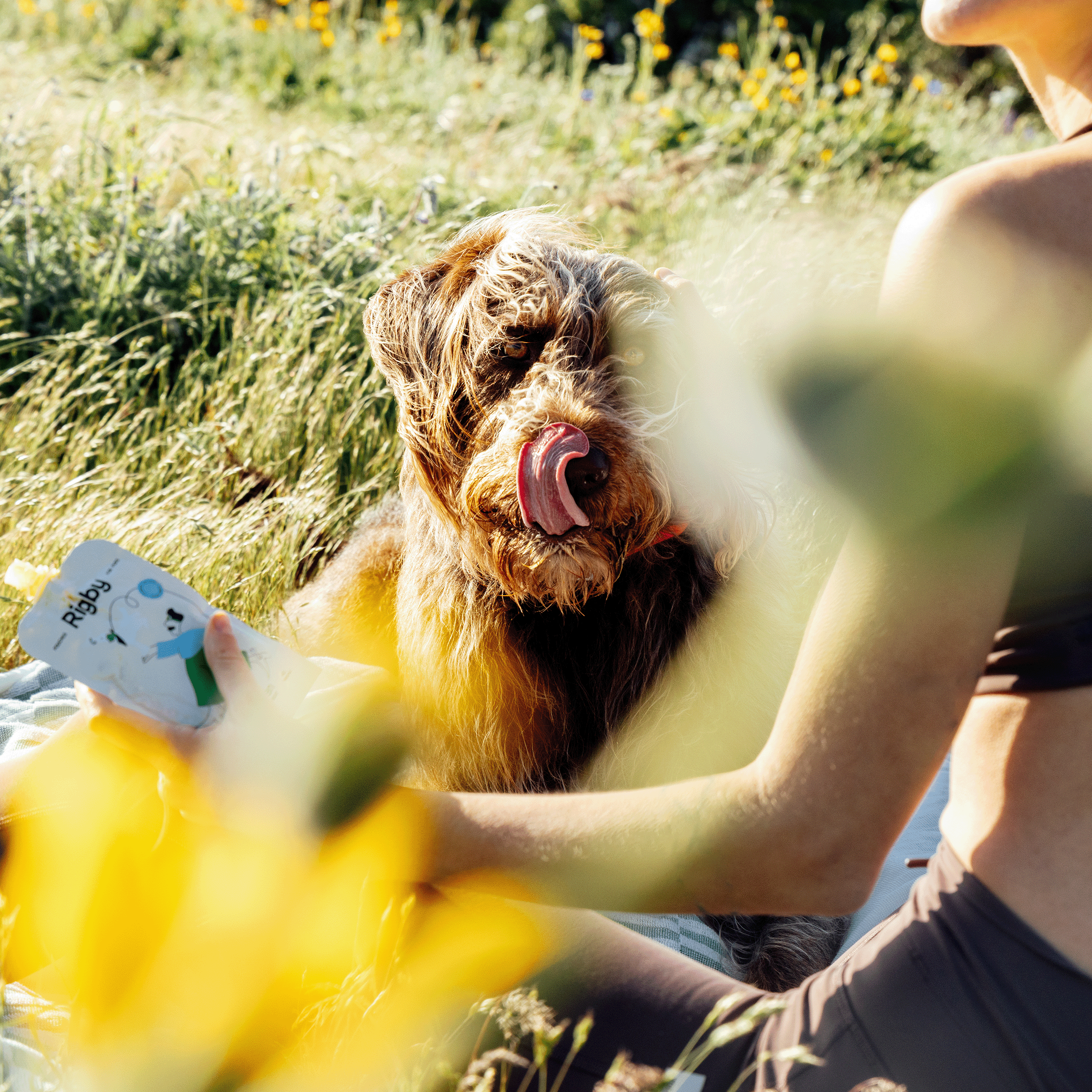 Rigby - Organic Chicken Squeeze Pouch for Dogs