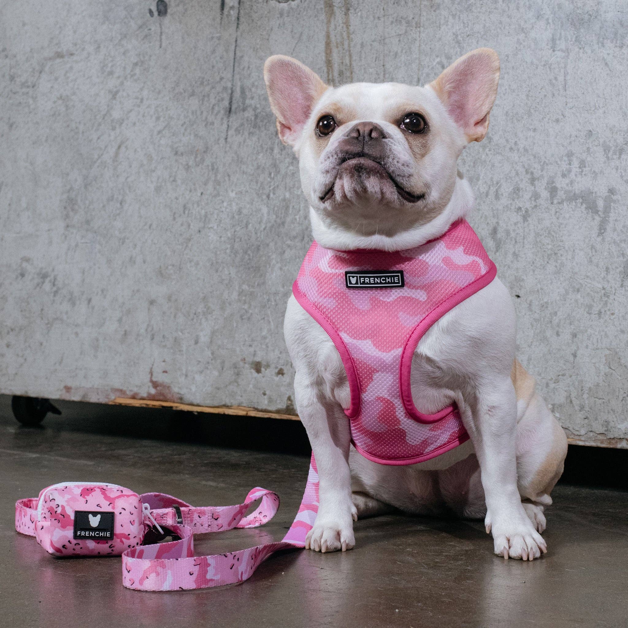 Frenchie - Frenchie Duo Reversible Harness - Desert Camo (Pink): XS