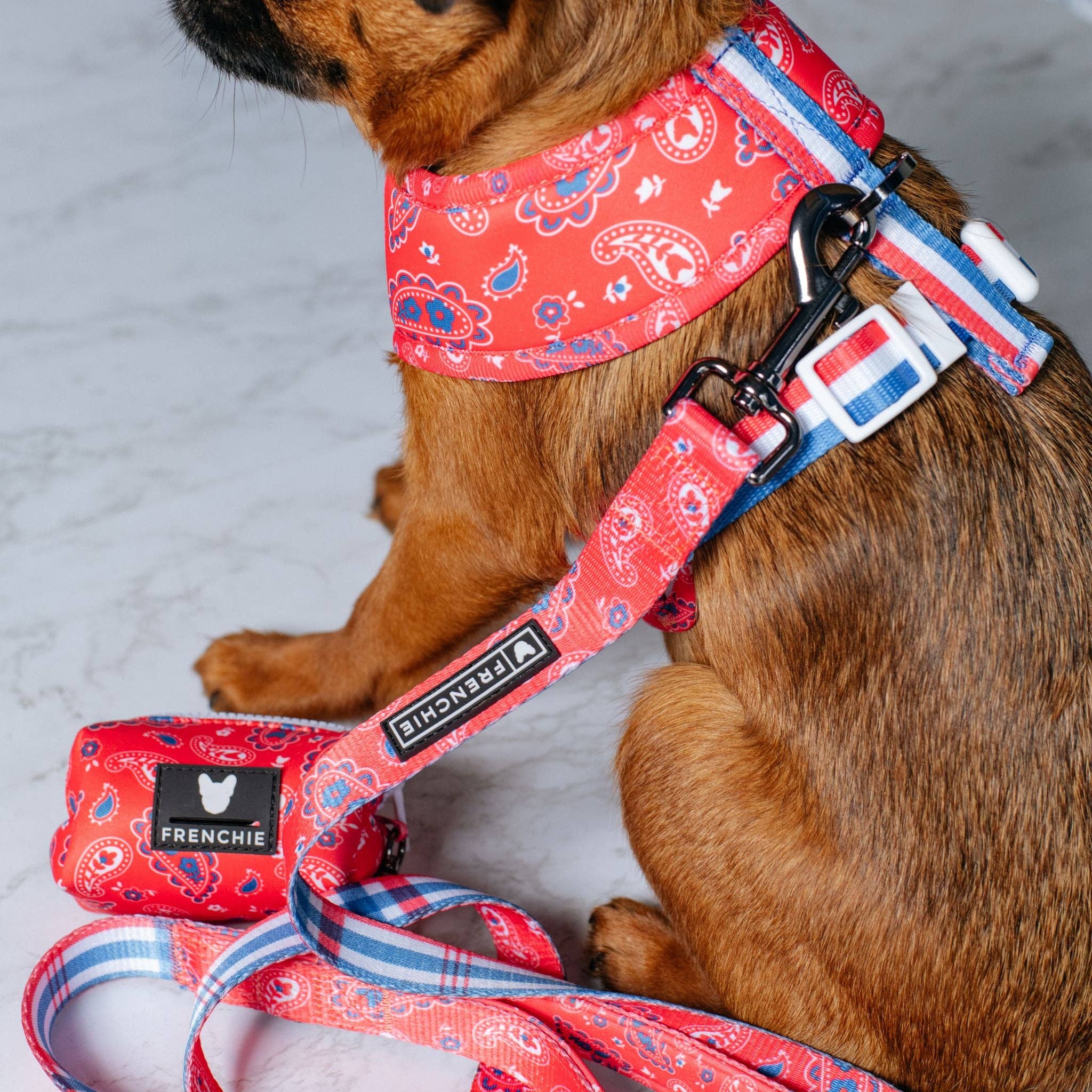 Frenchie - Frenchie Duo Reversible Harness - Red, White, and Paisley: M