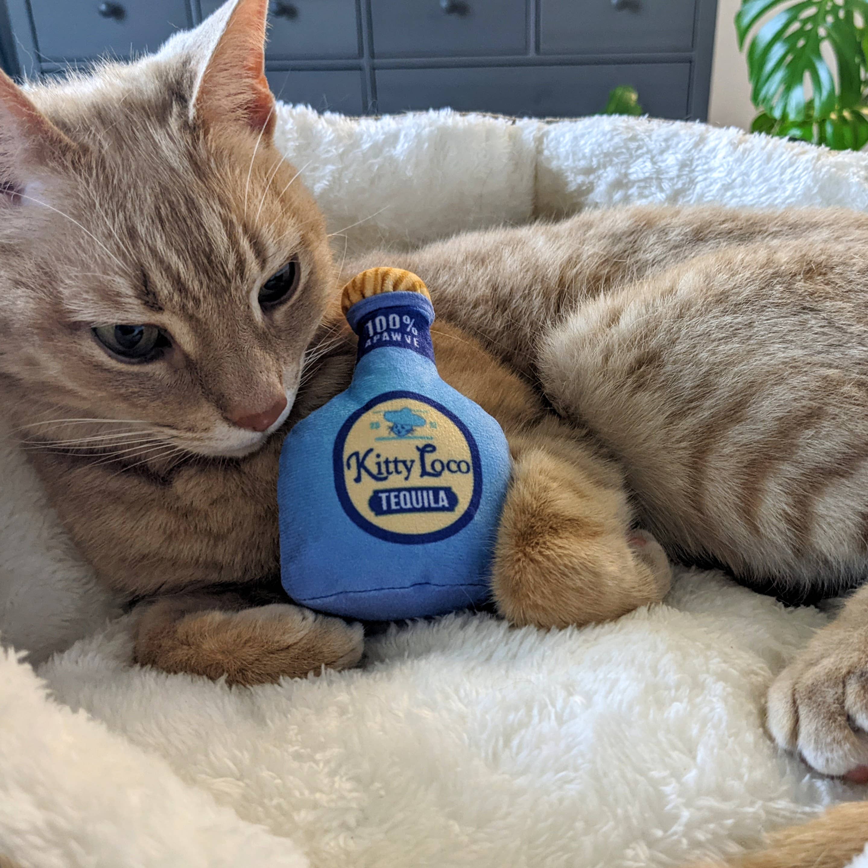 Huxley & Kent - Kitty Loco Tequila for Cats