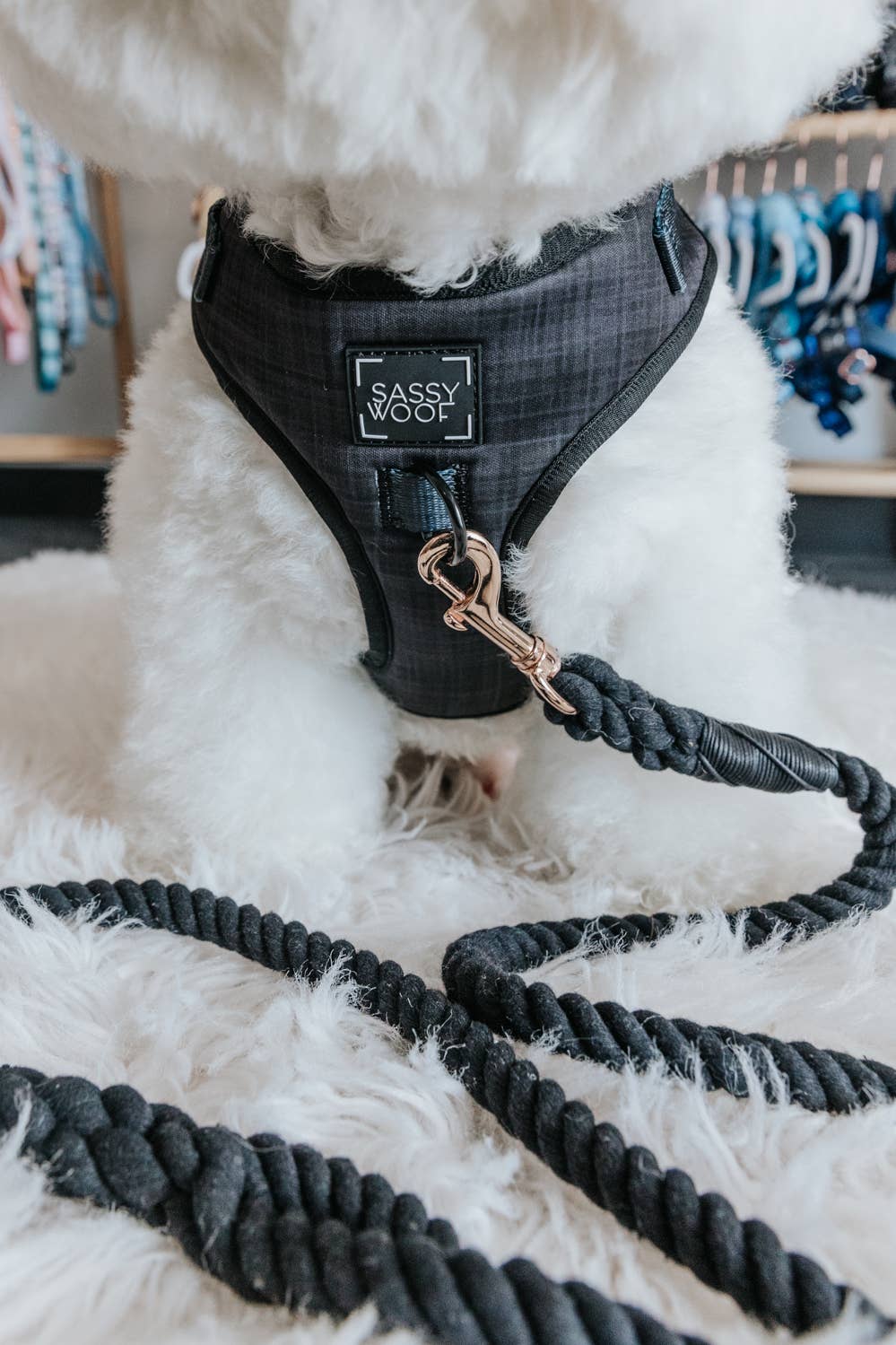 SASSY WOOF - Dog Adjustable  Harness - Baby Got Black: L