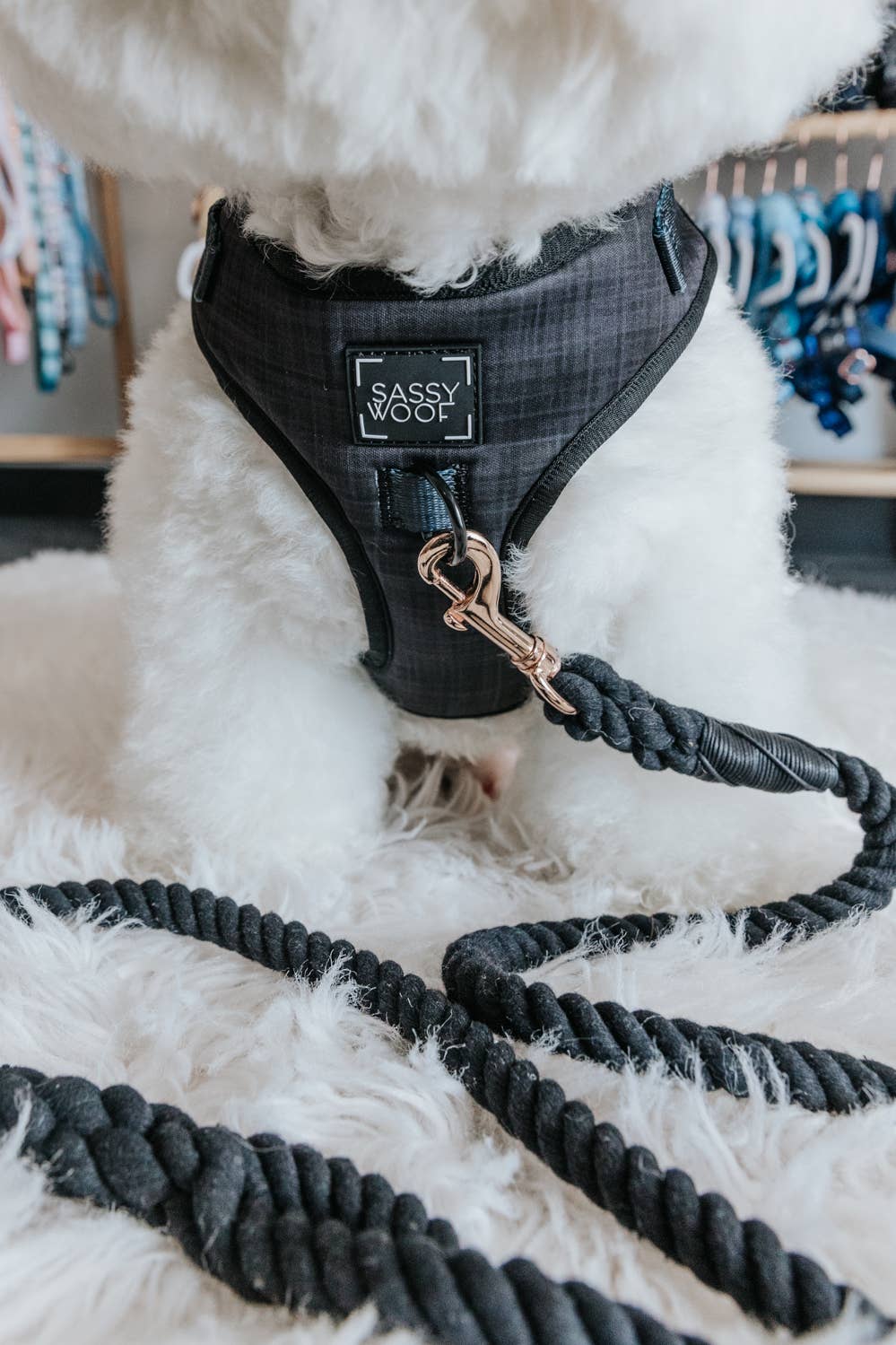 SASSY WOOF - Dog Adjustable  Harness - Baby Got Black: S