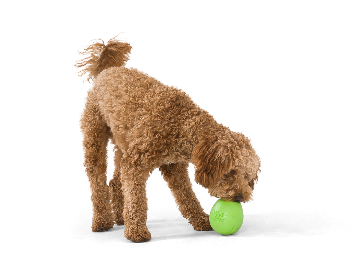 West Paw - Rumbl® Puzzle Treat-Dispensing Enrichment Dog Toy: L / Jungle Green