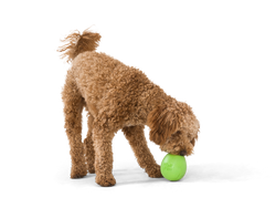 West Paw - Rumbl® Puzzle Treat-Dispensing Enrichment Dog Toy: L / Jungle Green