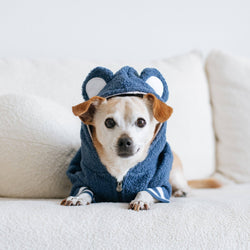 Frenchie - Frenchie Dog Hoodie - Blue Teddy: L