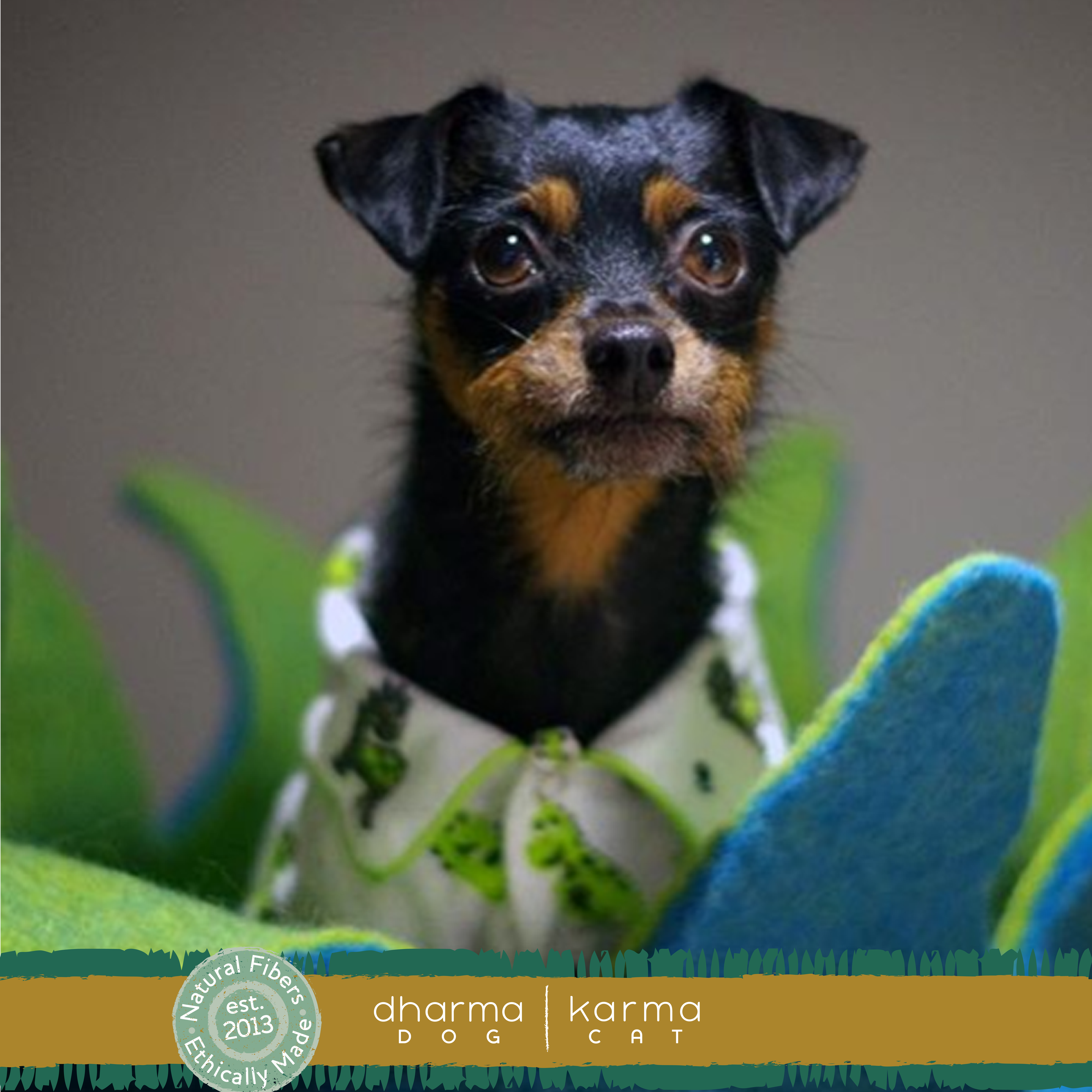 Dharma Dog Karma Cat - Aqua/ Green Petal Wool Pet Basket: 14"