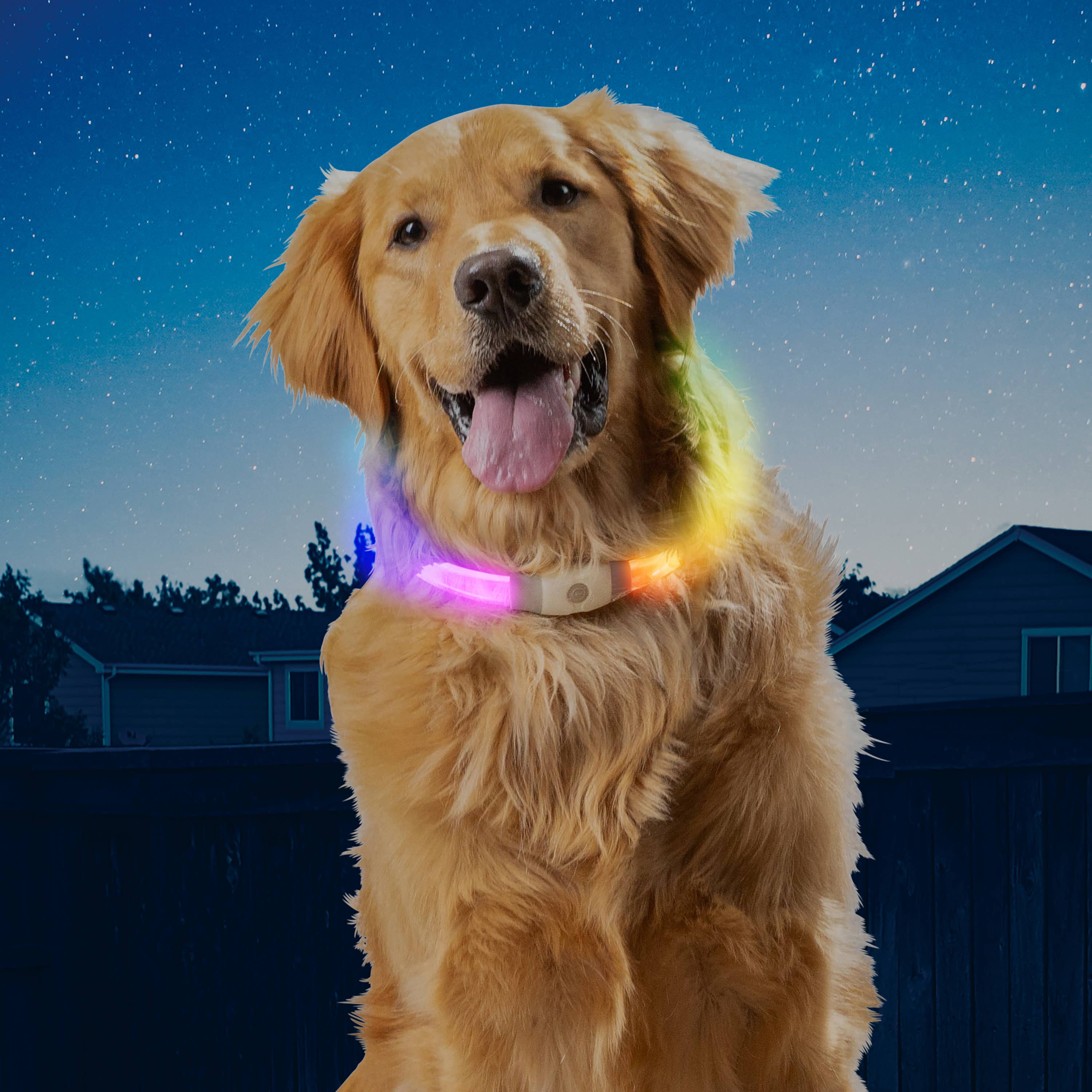 Pet Palette Distribution - Nite Ize NiteHowl Max Rechargeable LED Safety Necklace Disco