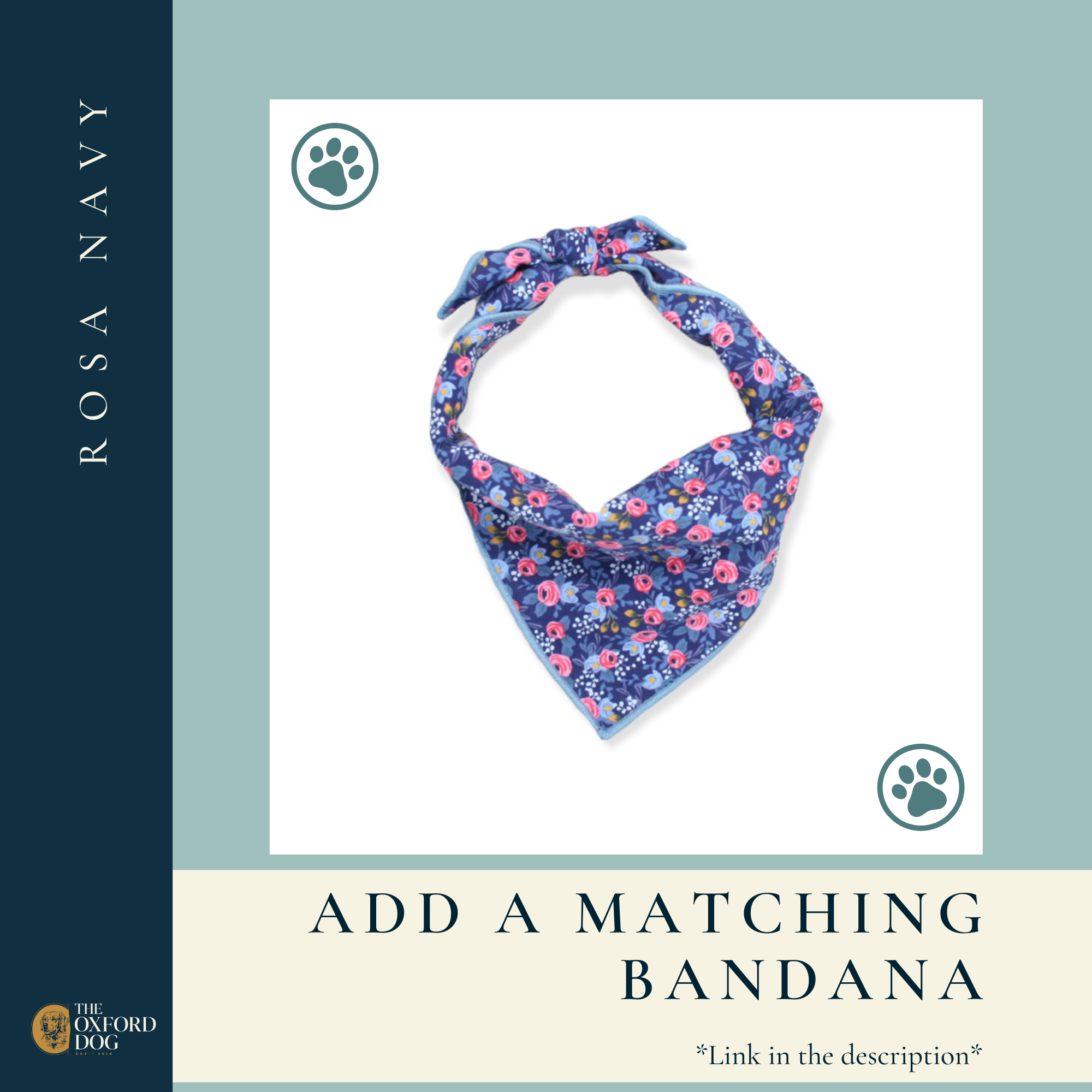 The Oxford Dog - Floral Dog Collar, Girl Dog Collar, Navy Dog Collar, Rosa: Black Plastic / XLARGE