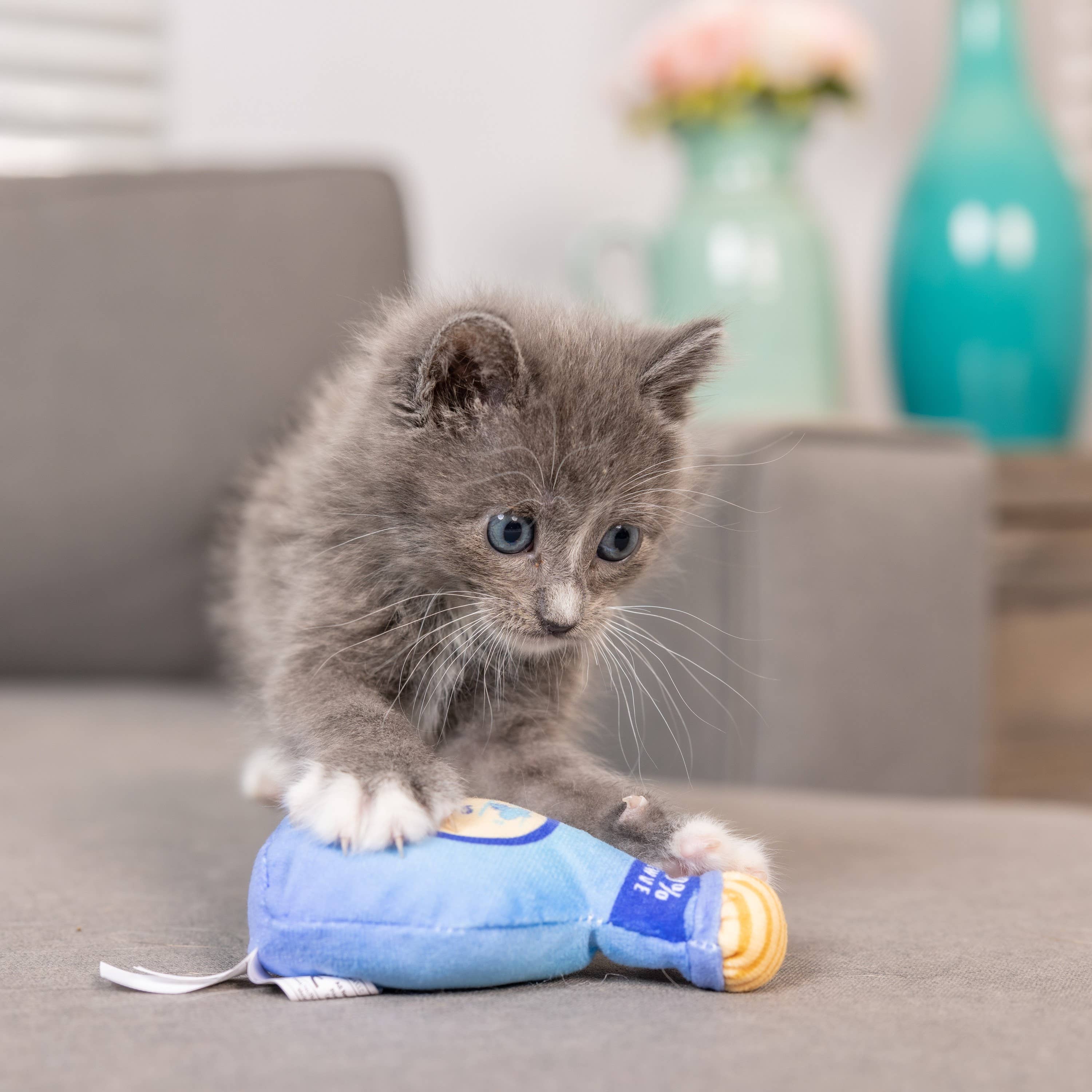 Huxley & Kent - Kitty Loco Tequila for Cats