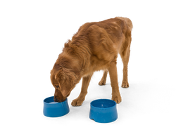 West Paw - No-Slip Dog Feeding Water Bowl: Kelp