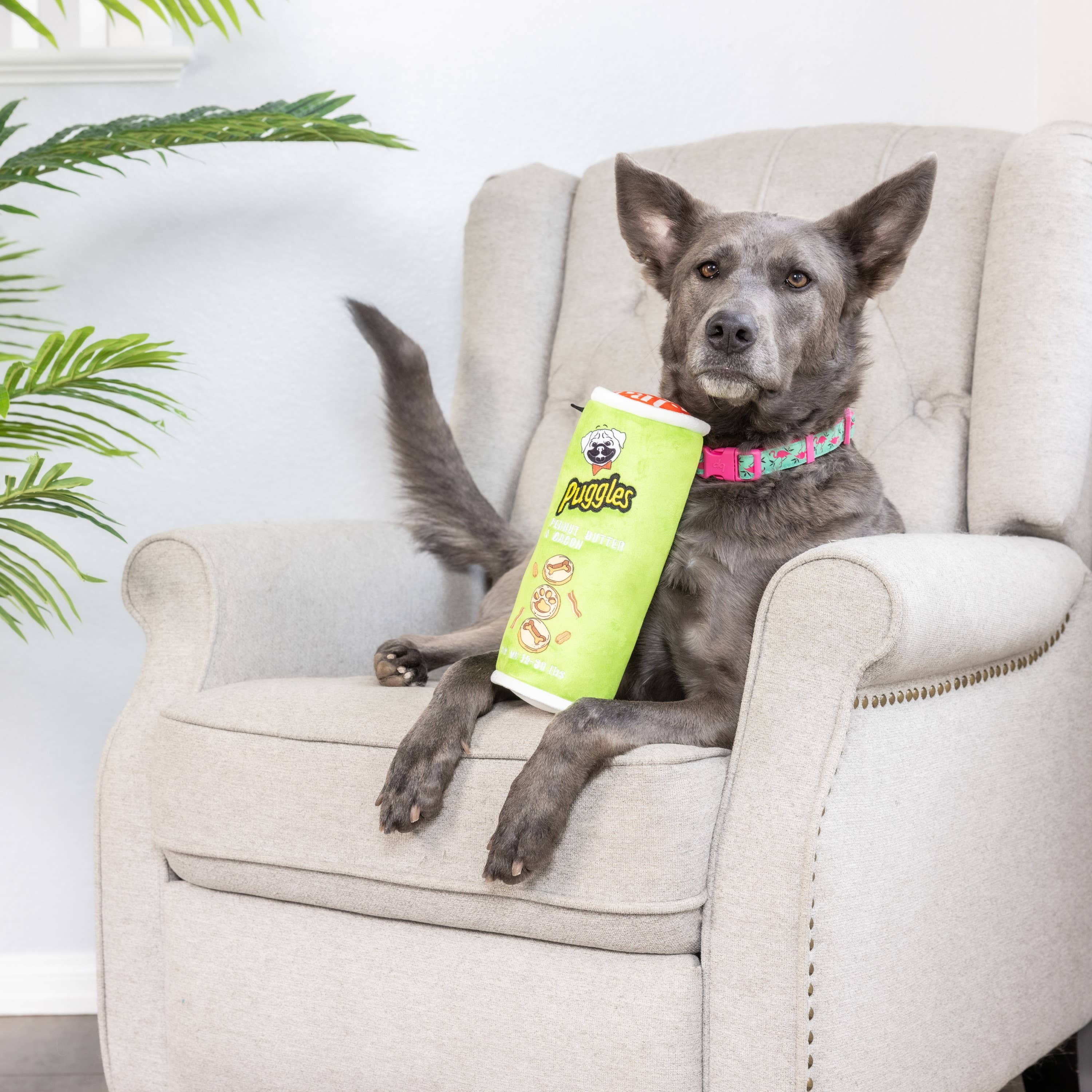 Huxley & Kent - Puggles Can For Dogs: Small