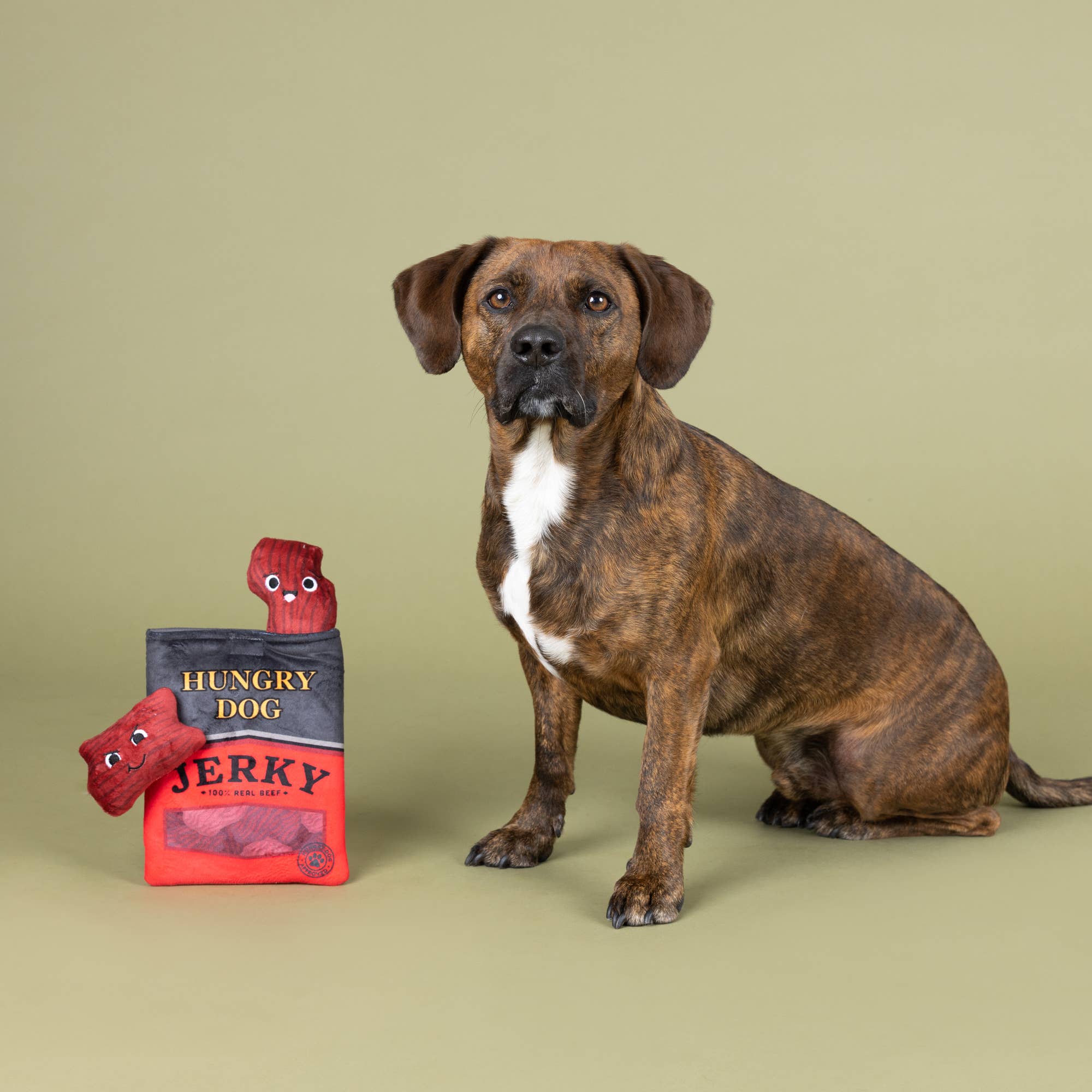 Wagsdale - SNACK ATTACK HIDE & SEEK PLUSH DOG TOY