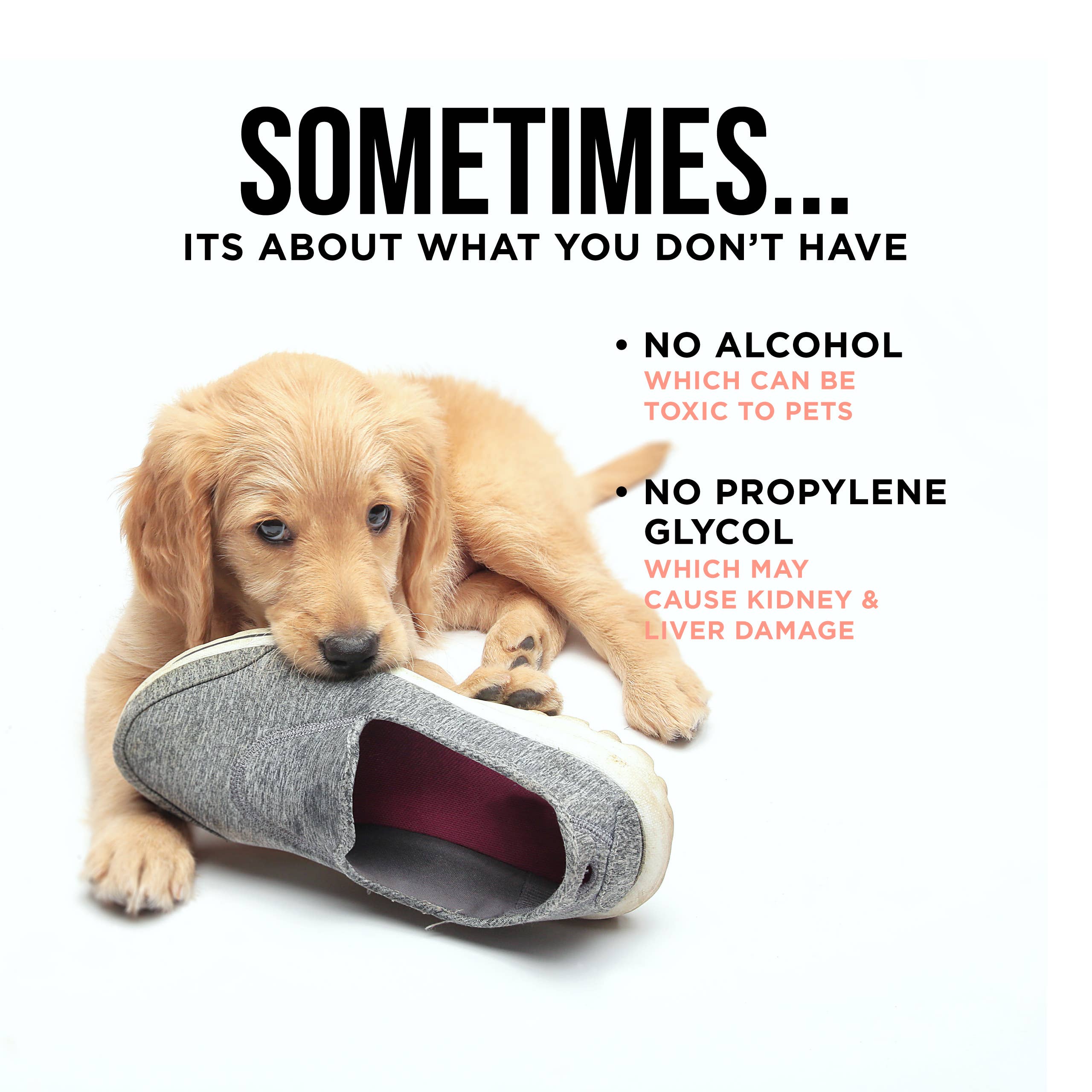 The Only Bitter Anti Chew Spray Dogs May Need: 3 ounce