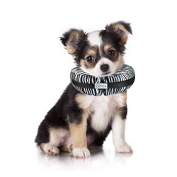 Comfurt Collar - Zebra - Pet Recovery Collar: M