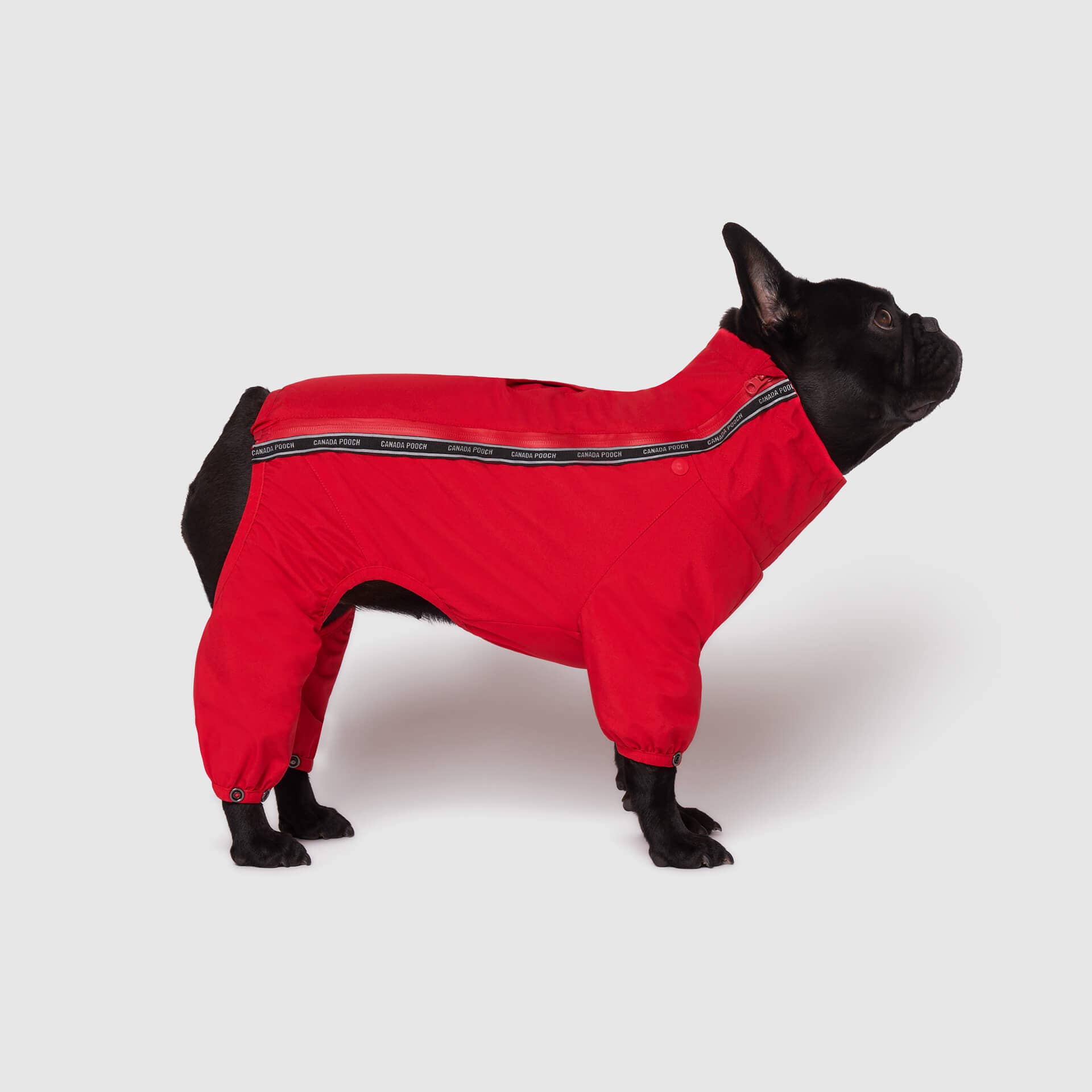 Canada Pooch - The Snow Suit- Dog Suit: Black / 10