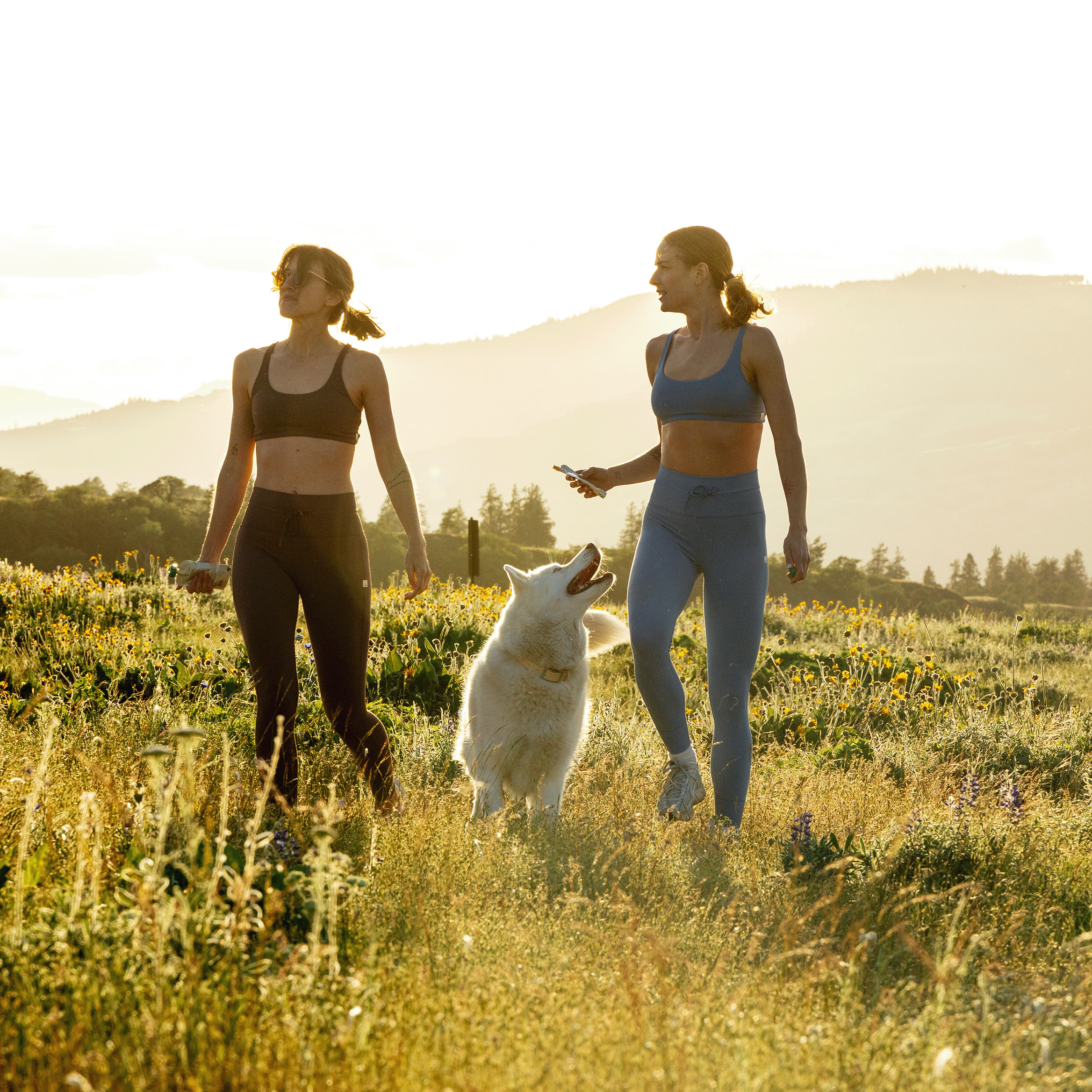 Rigby - Organic Chicken Squeeze Pouch for Dogs