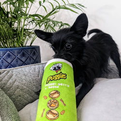 Huxley & Kent - Puggles Can For Dogs: Large