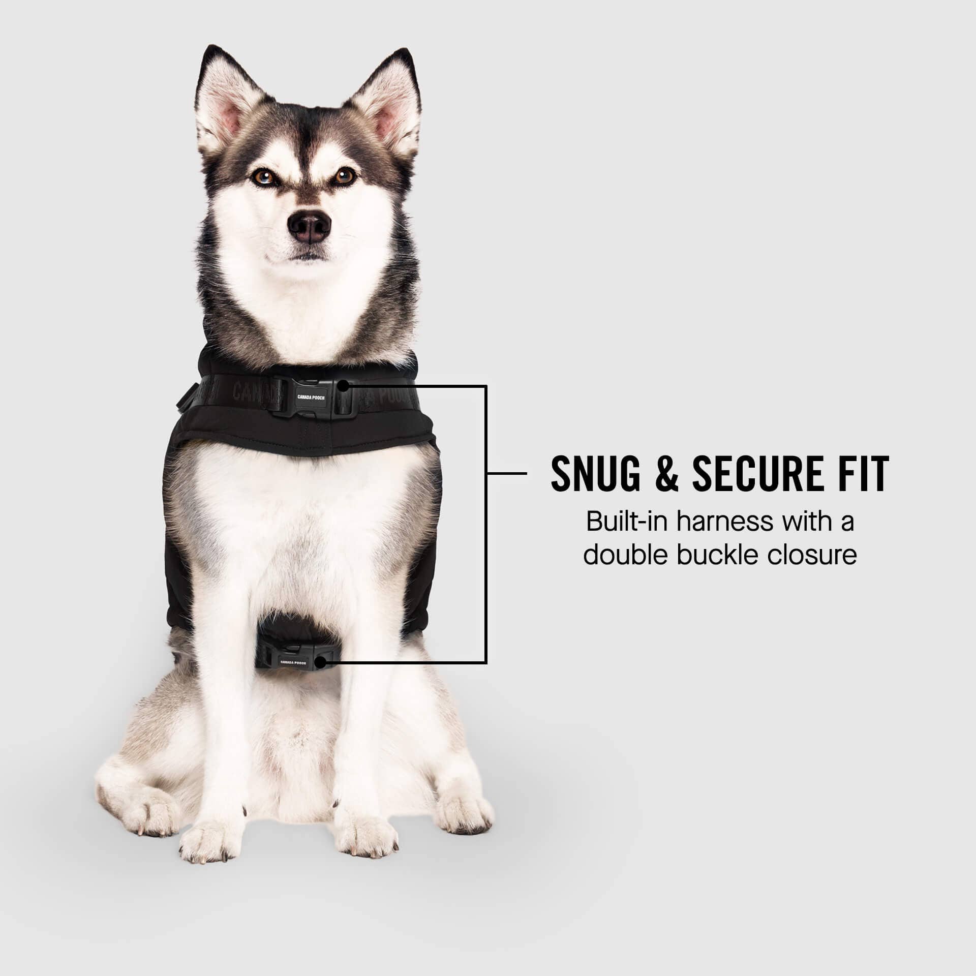 Canada Pooch - Harness Puffer- Dog Coat: Forest Green / 10