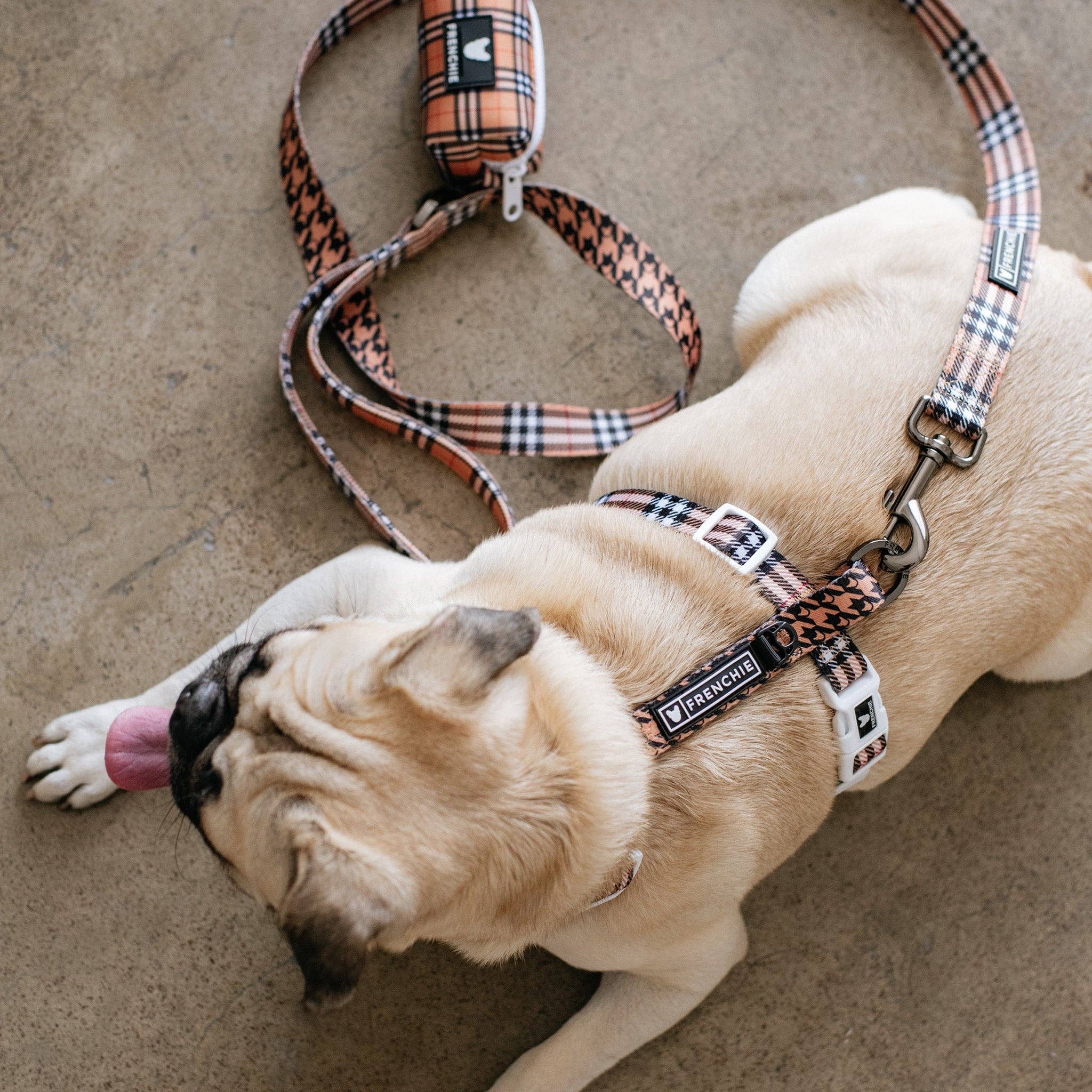 Frenchie - Frenchie Strap Harness - Tan Tartan: OS