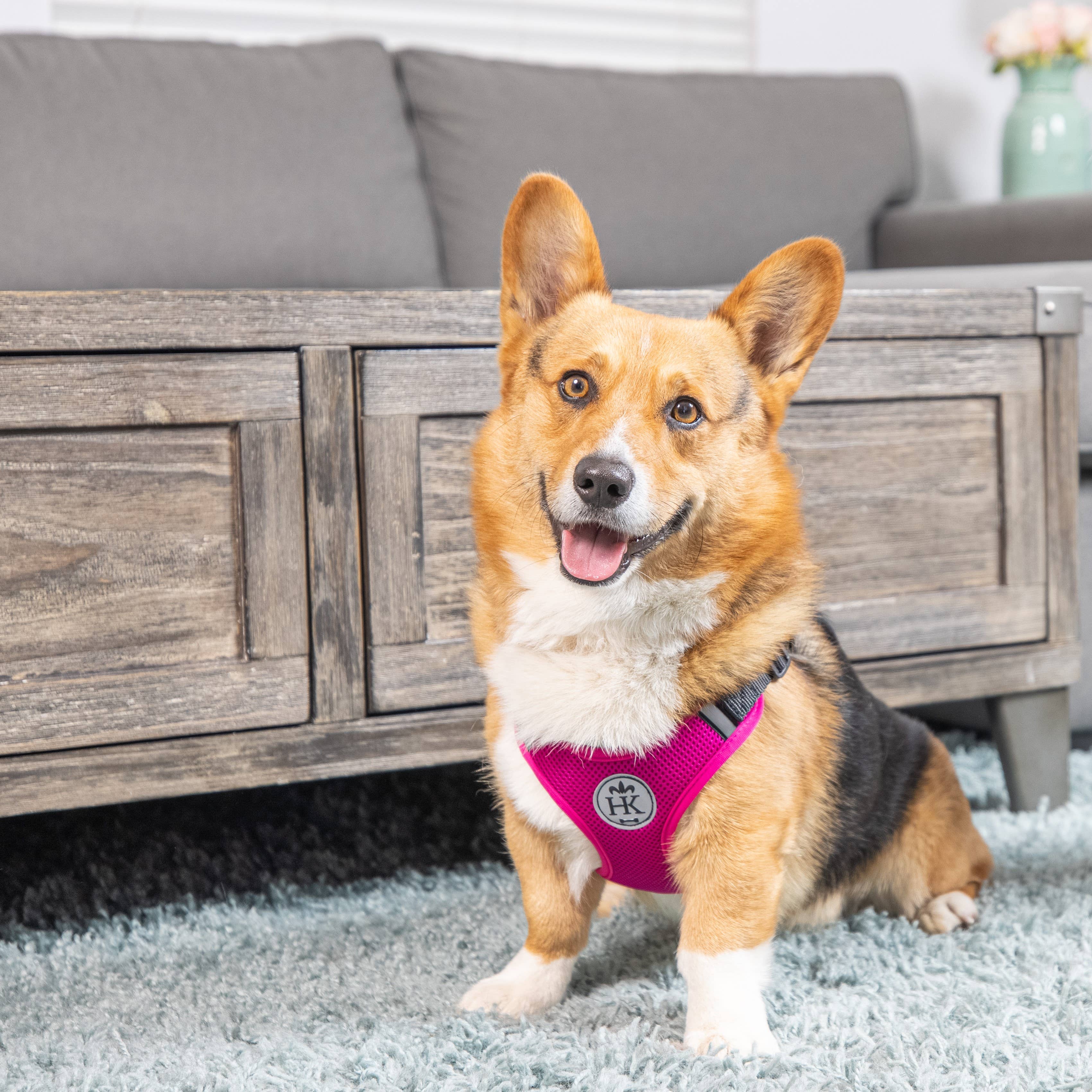 Huxley & Kent - Scout LoPro Harness Raspberry: XS (4-8lbs)