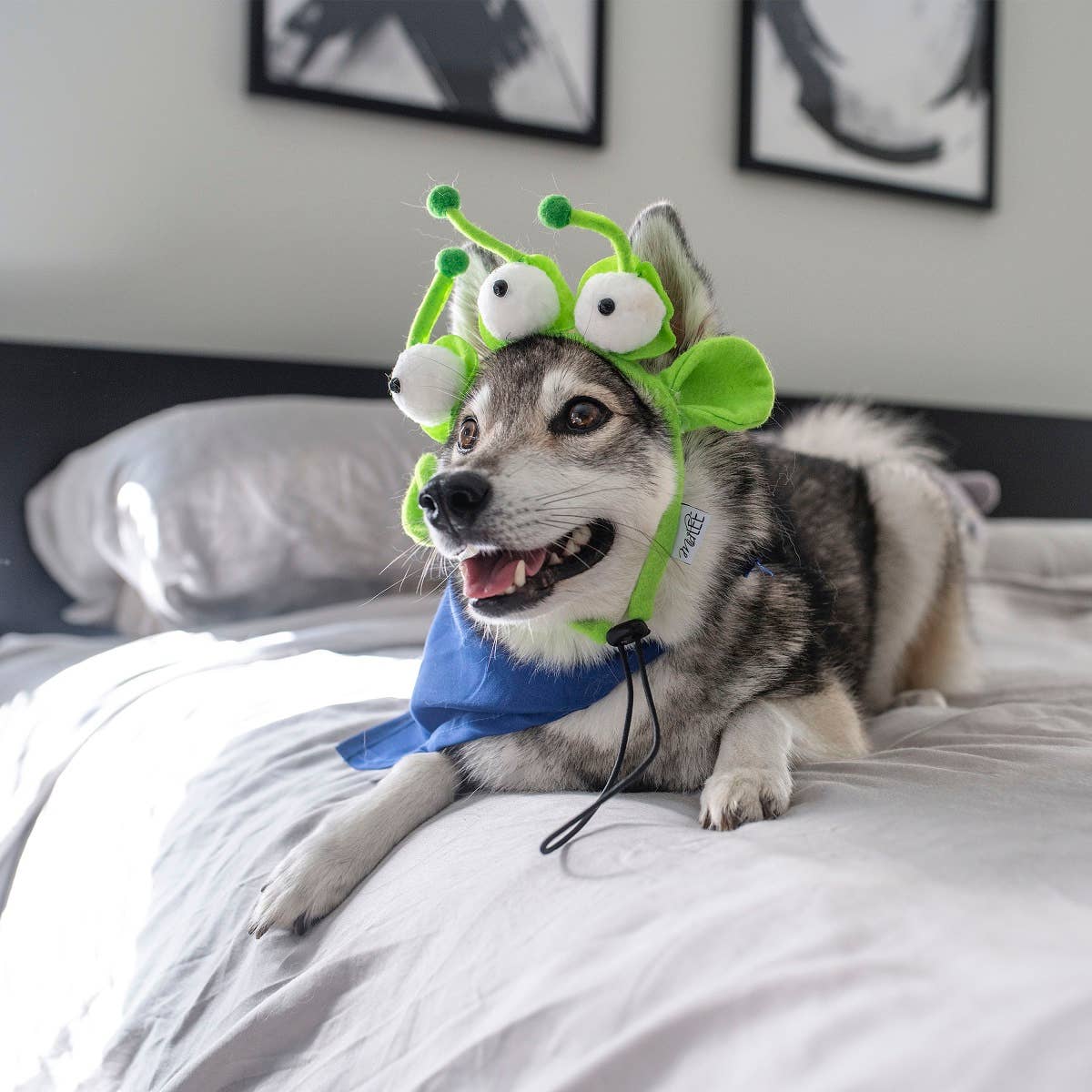 Midlee Designs - Midlee Alien Dog Costume Headband