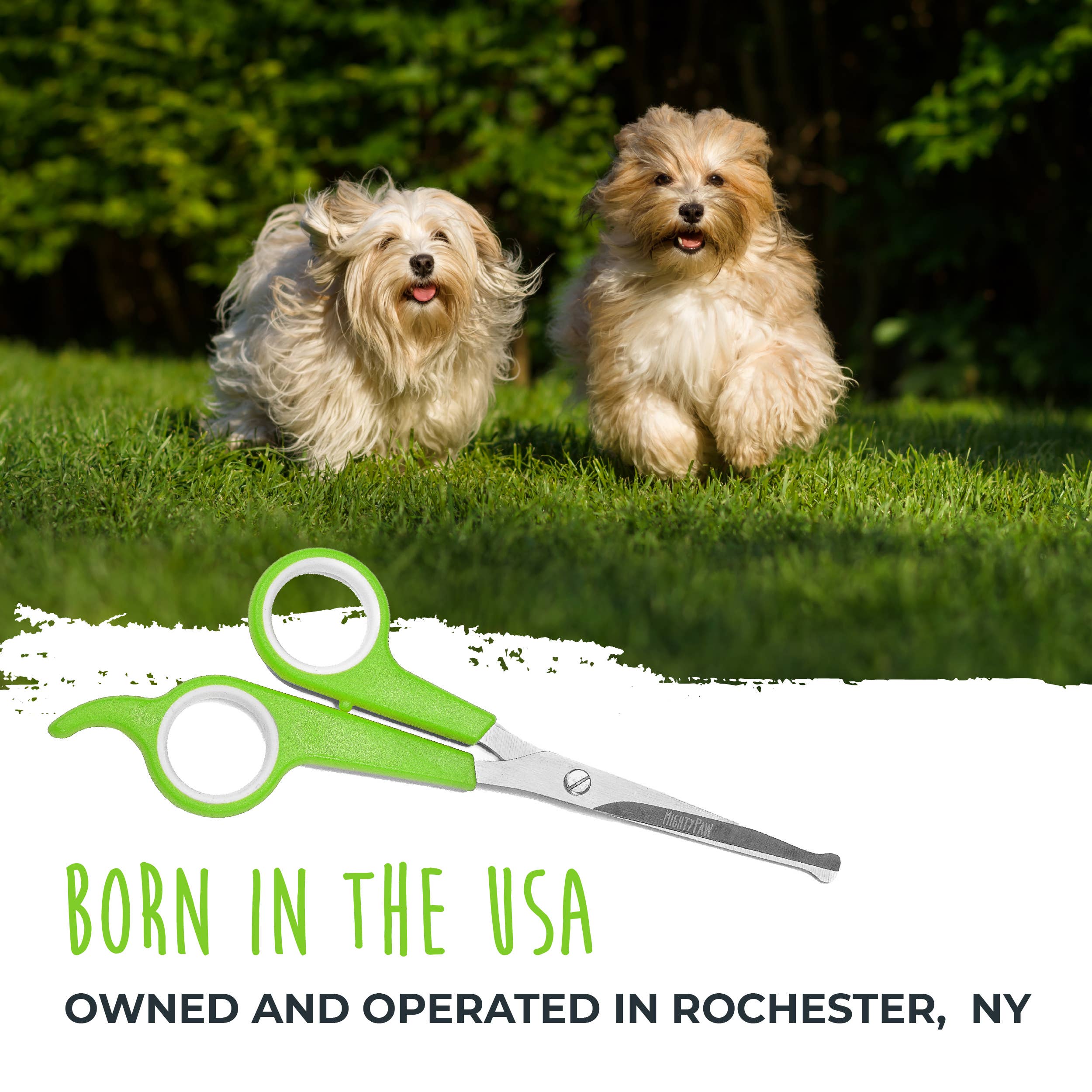 Mighty Paw - Dog Grooming Scissors (2 Pack): Green