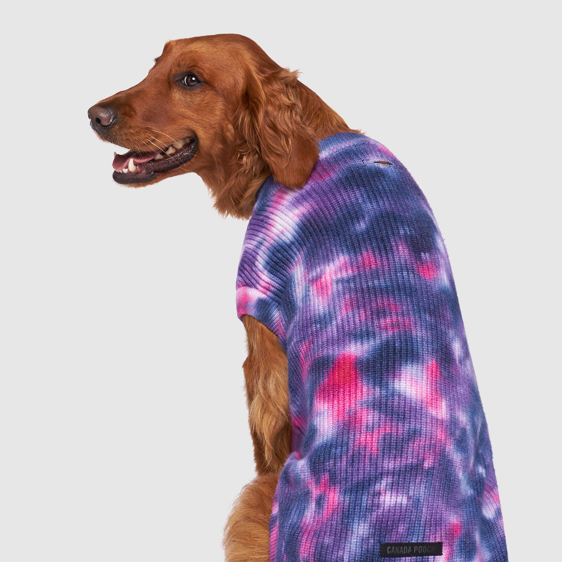 Canada Pooch - Wild Side Sweater- Dog Sweater: Purple Tie Dye / 8