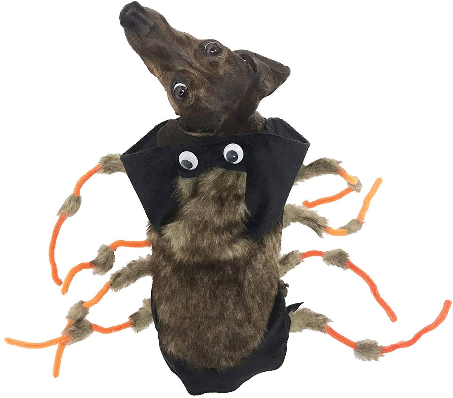 Midlee Designs - Midlee Scary Spider Dog Costume: Small