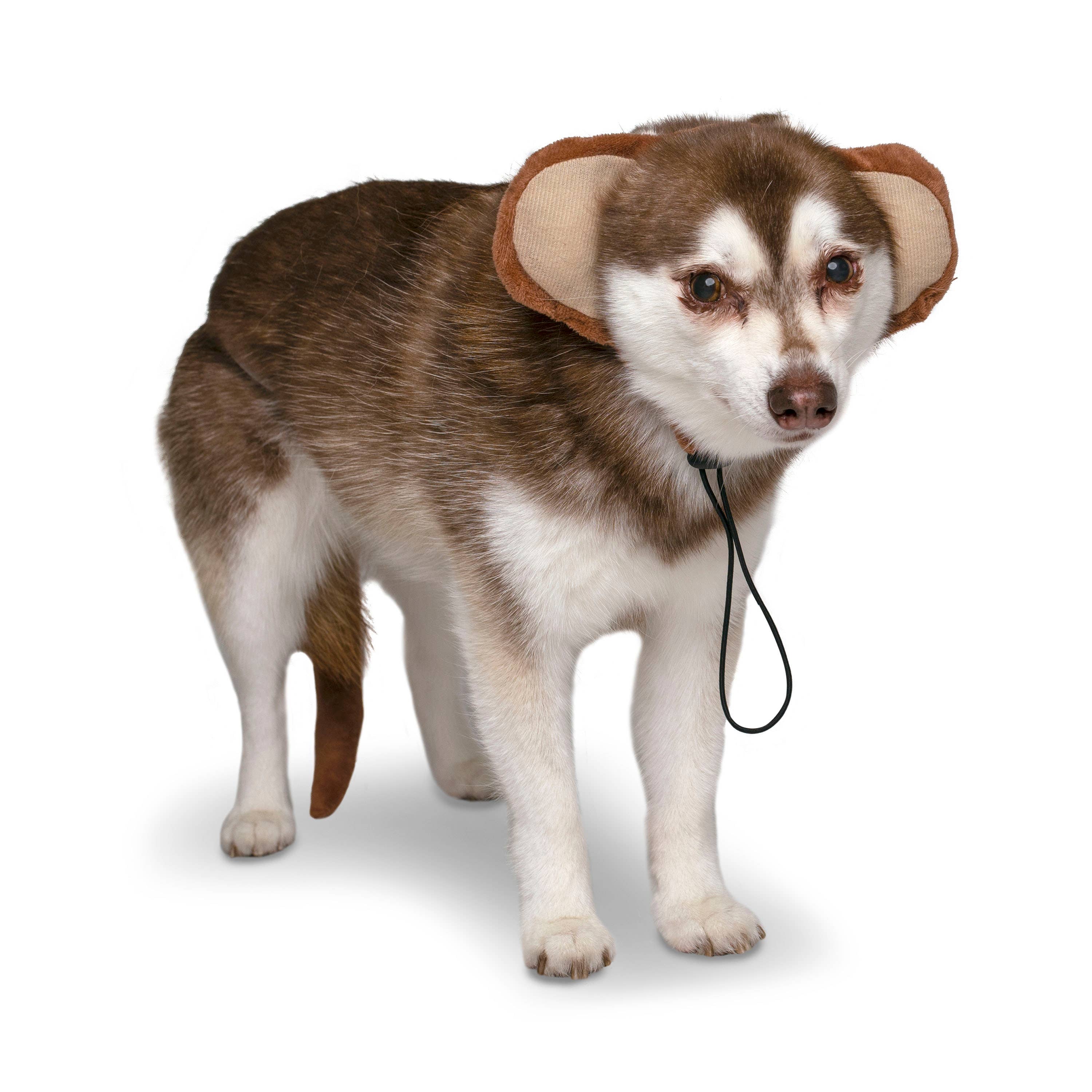 Midlee Designs - Midlee Monkey Headband and Tail Halloween Dog Costume