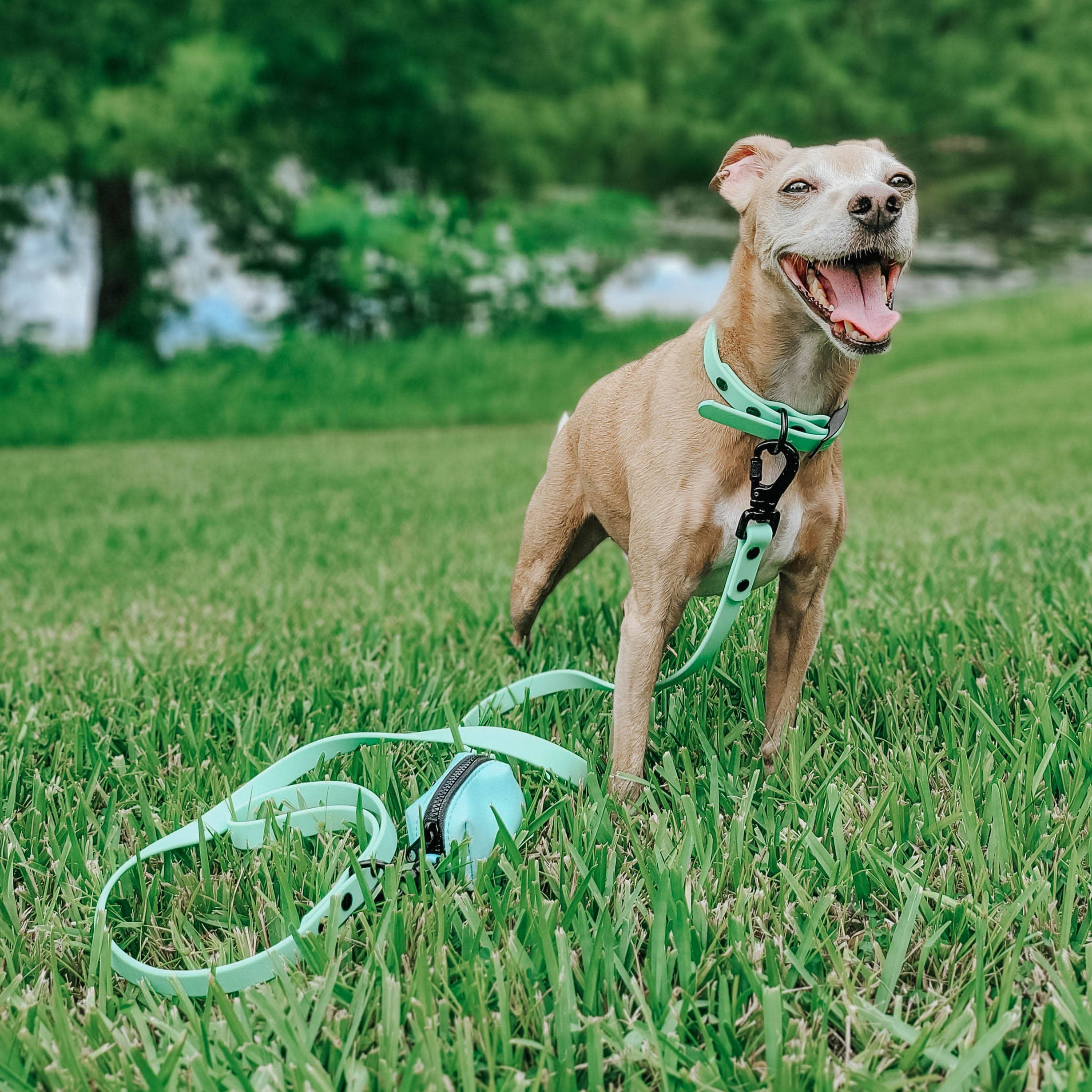 SASSY WOOF - Waterproof Dog Leash - Green