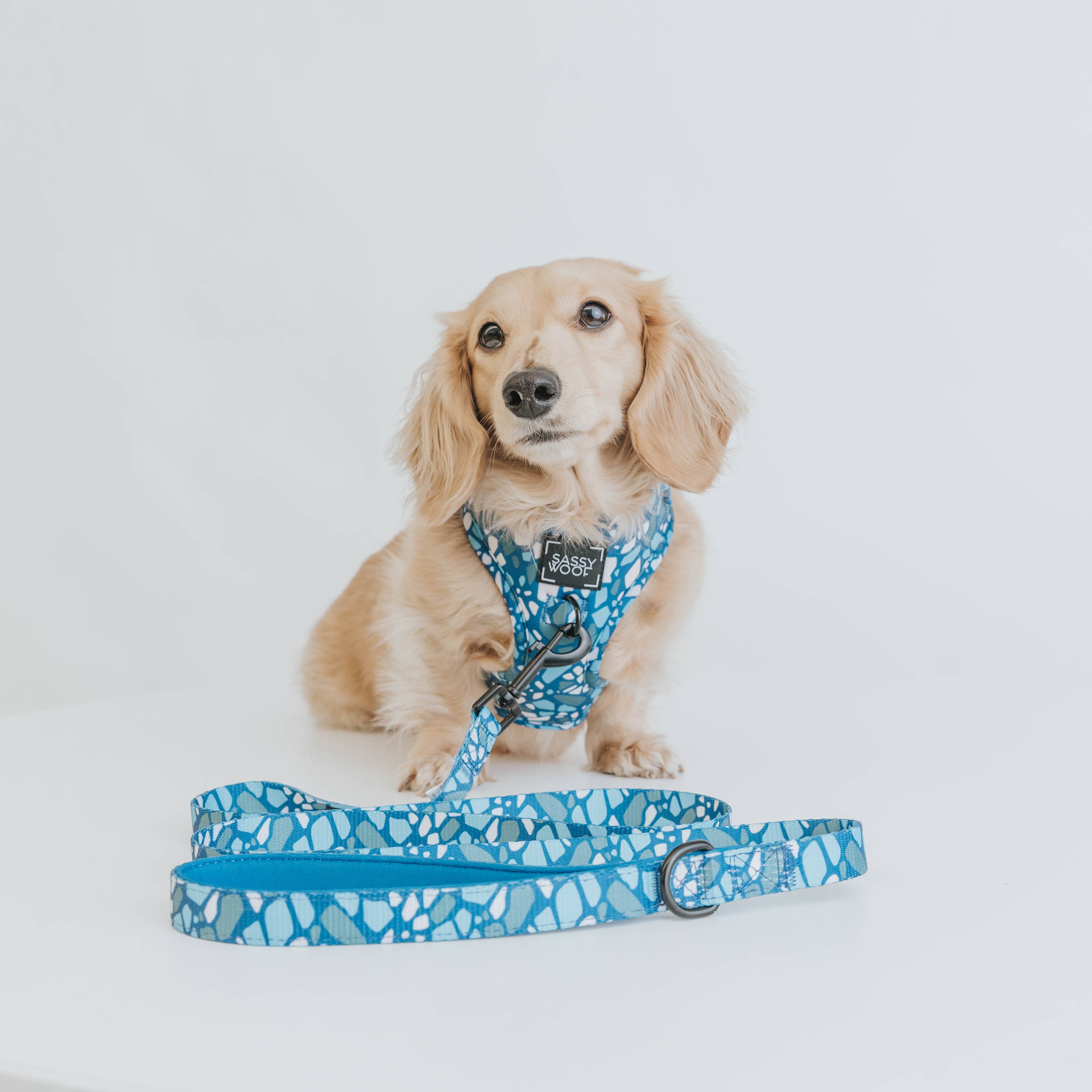 SASSY WOOF - Dog Leash - Santorini
