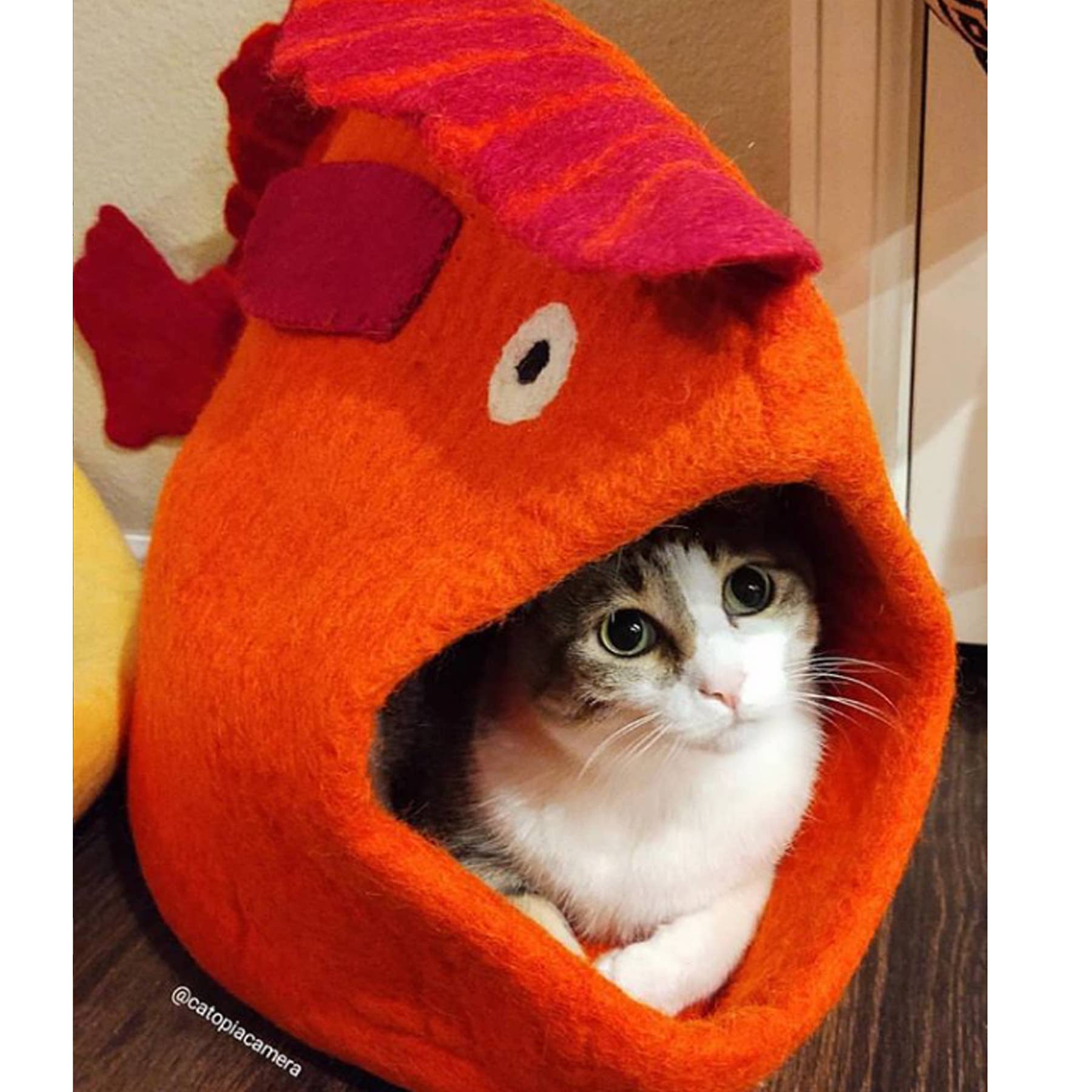 Fish Wool Pet Cave: Orange