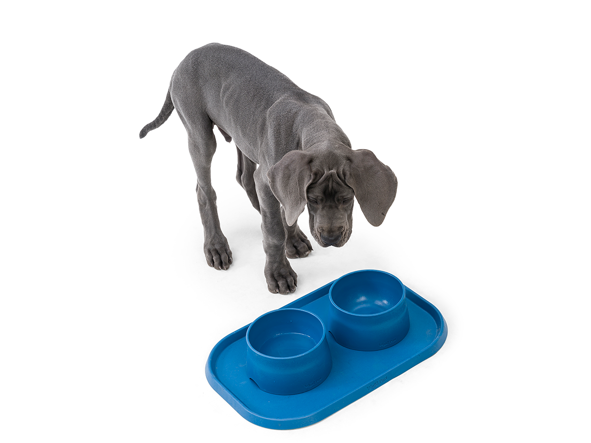 West Paw - No-Slip Dog Feeding Water Bowl: Kelp