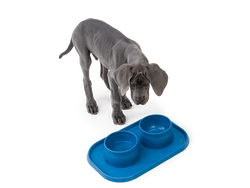 West Paw - No-Slip Dog Feeding Water Bowl: Kelp