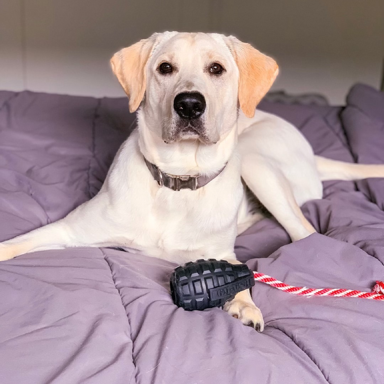 SodaPup Dog Toys - USA-K9 Magnum Grenade - Chew Toy - Reward Toy - Black: Large