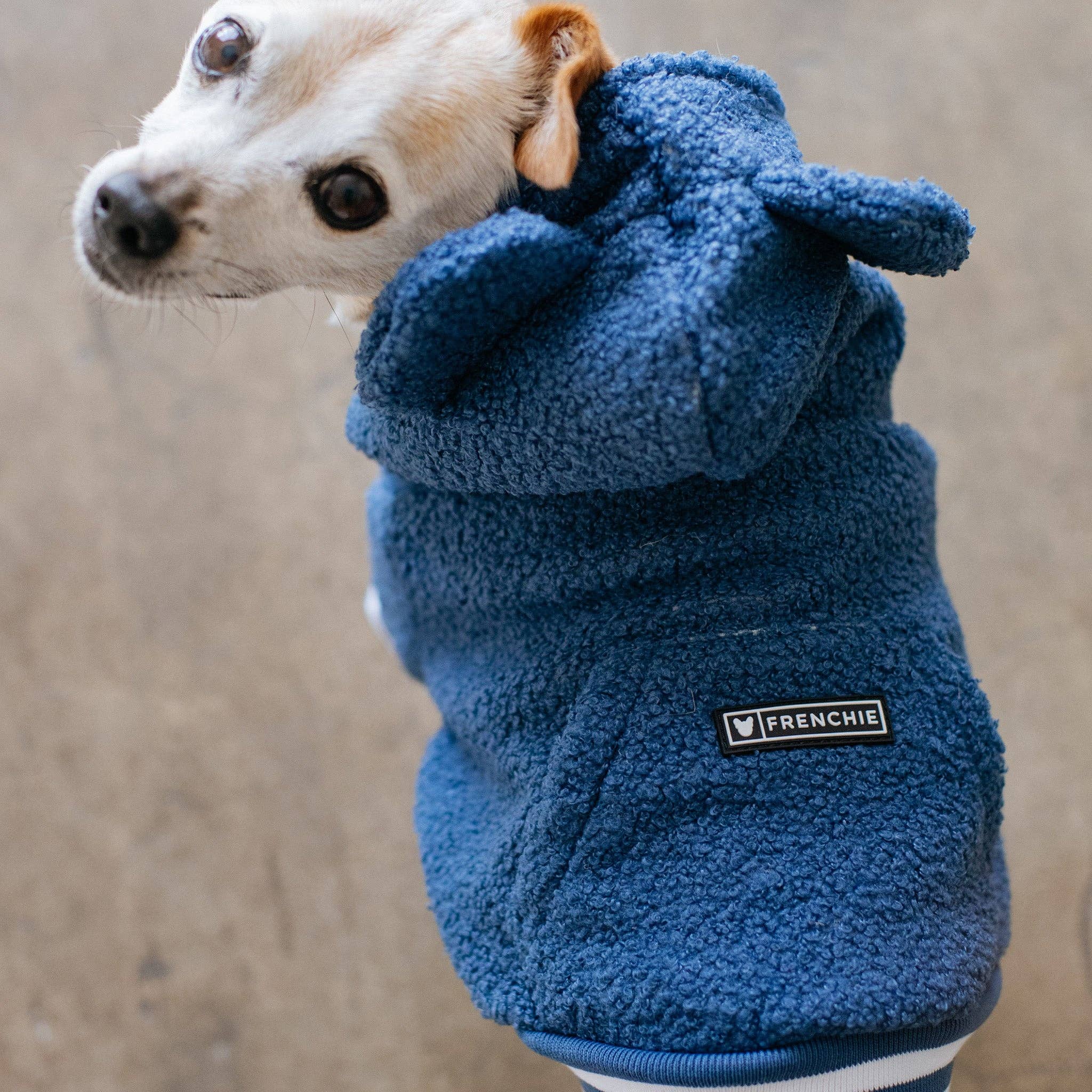 Frenchie - Frenchie Dog Hoodie - Blue Teddy: L