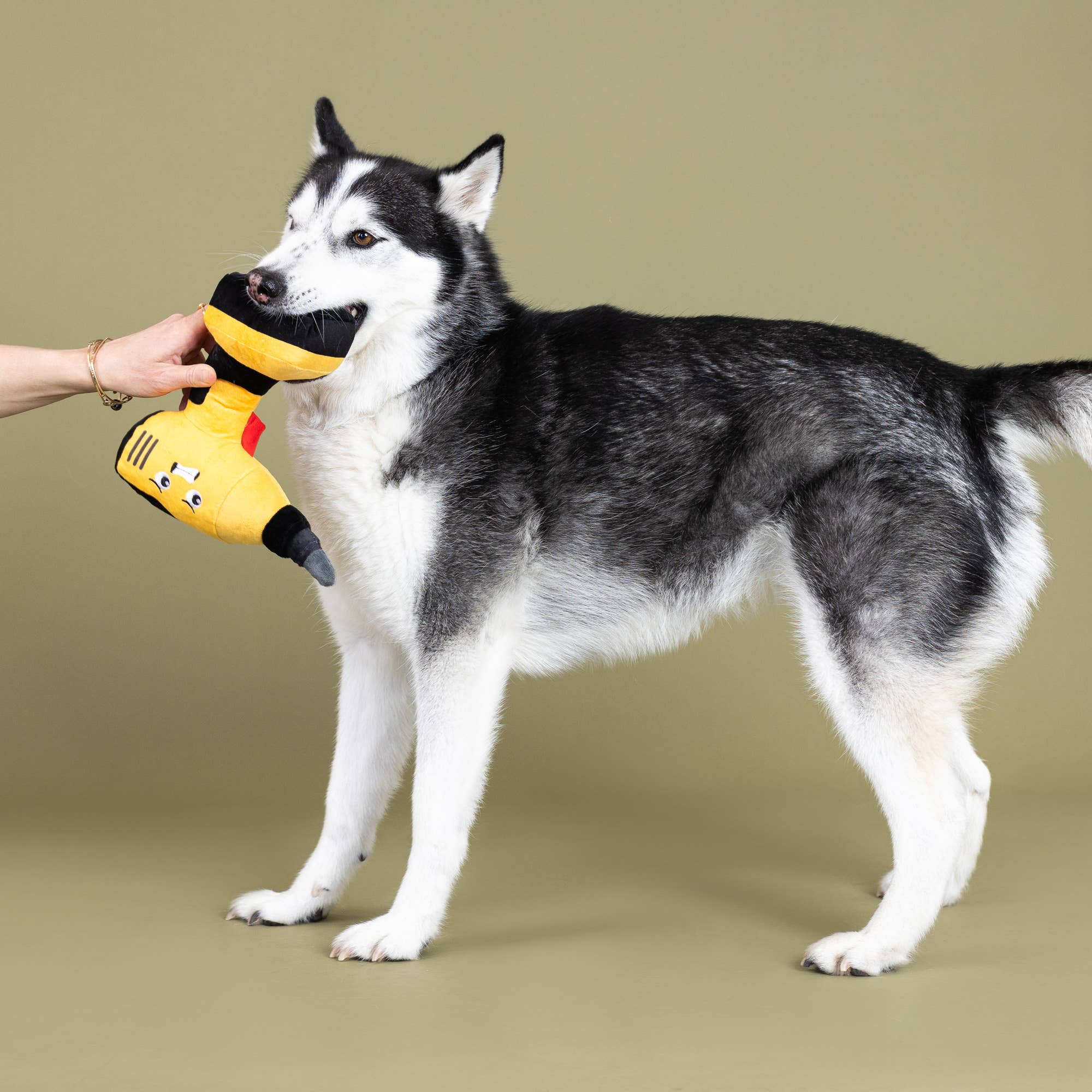 Wagsdale - POWER THROUGH PLUSH DOG TOY