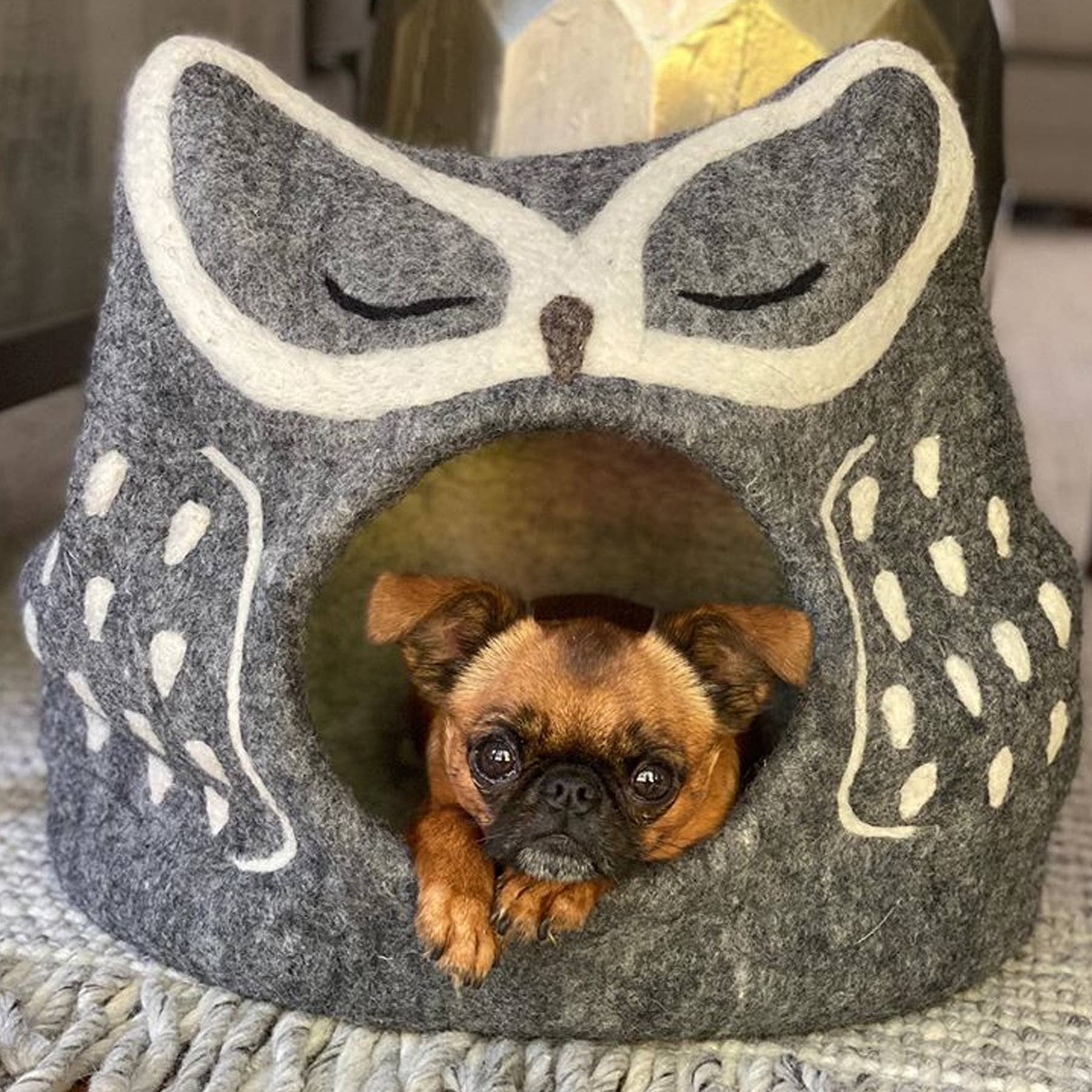 Dharma Dog Karma Cat - Owl Wool Pet Cave: Snowy