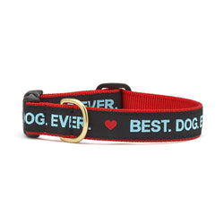 Up Country, Inc. - Best Dog Ever Dog Collar: Medium / Narrow