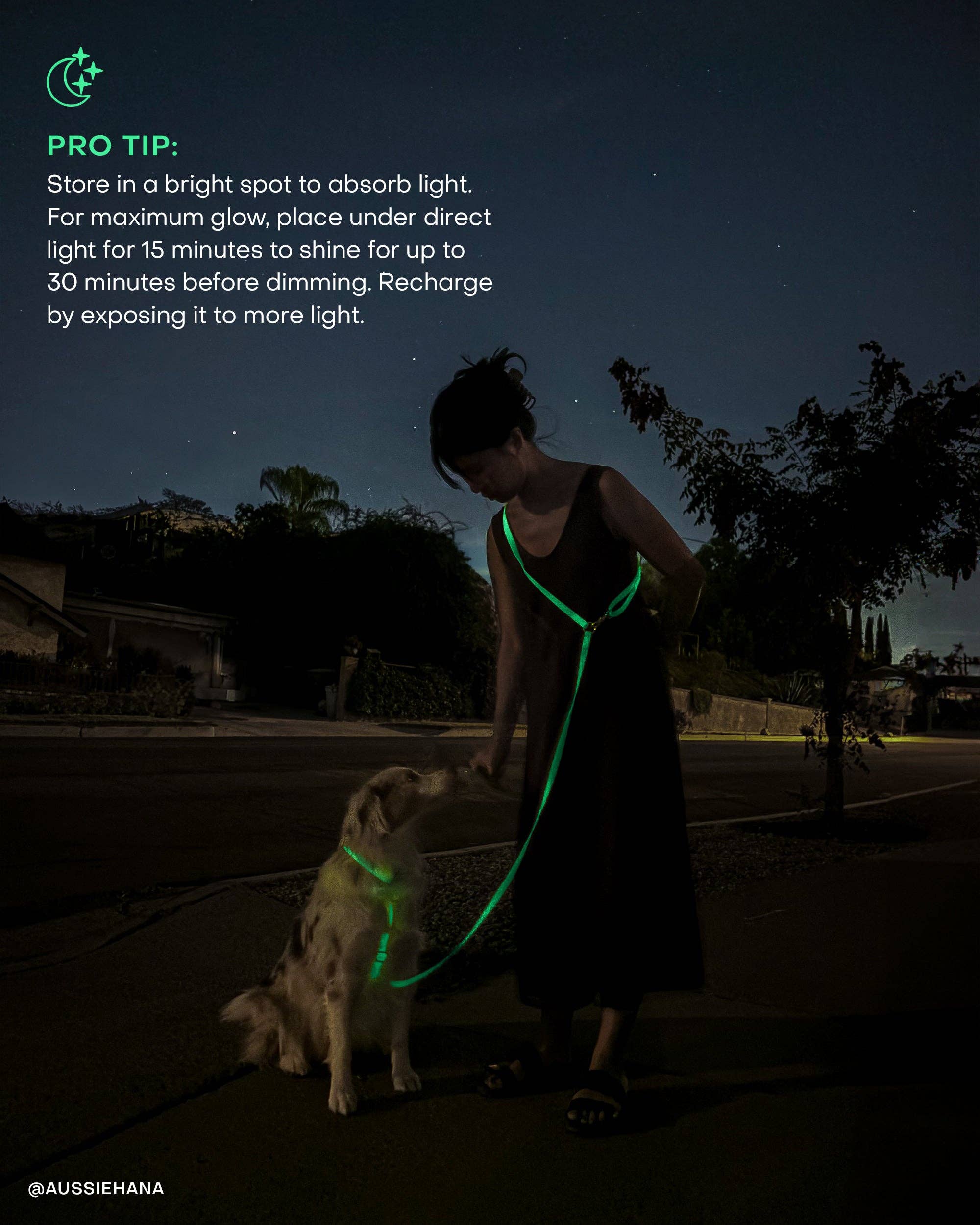 SUNNY TAILS - Lunar Glow Waterproof Dog Collar: SMALL