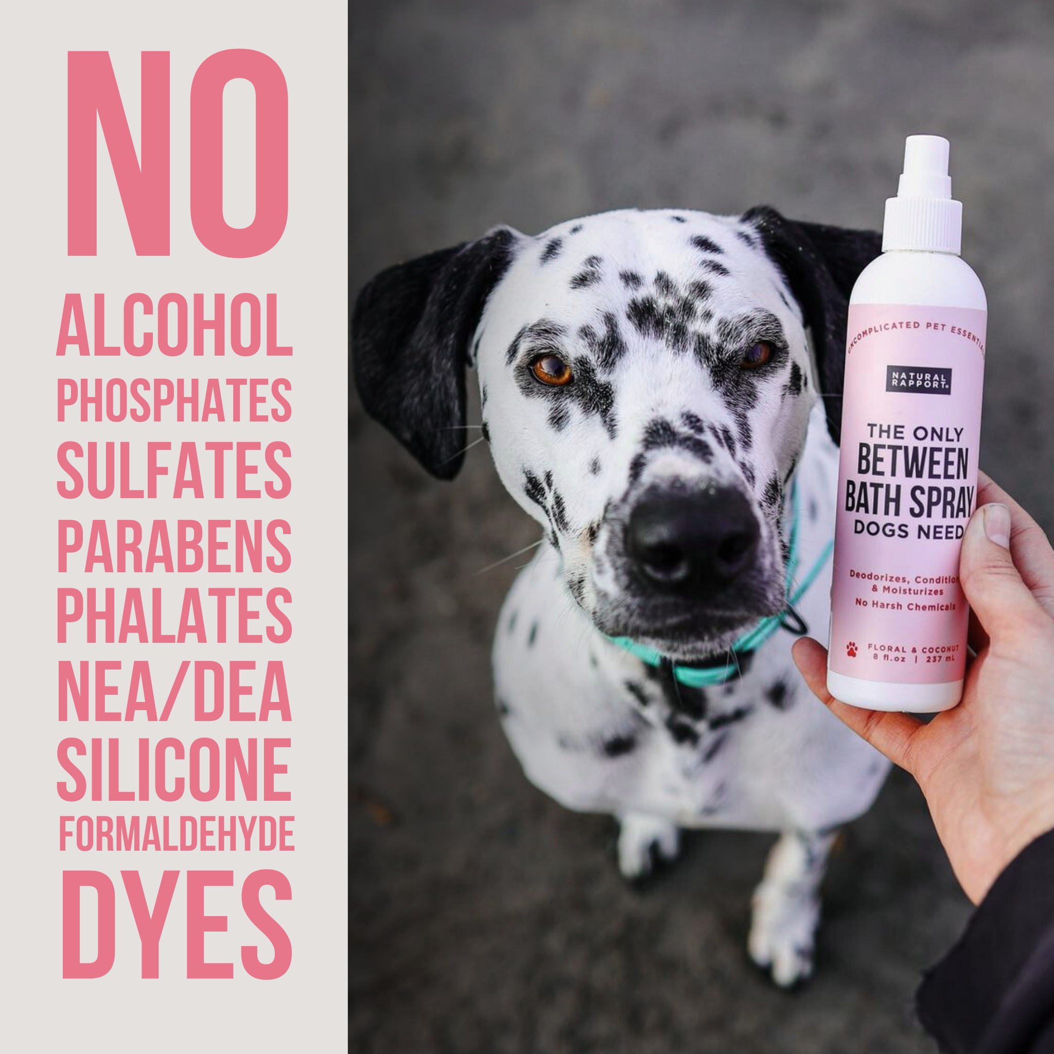 Natural Rapport - The Only Between Bath Spray Dogs Need - Floral & Coconut: 8 ounce