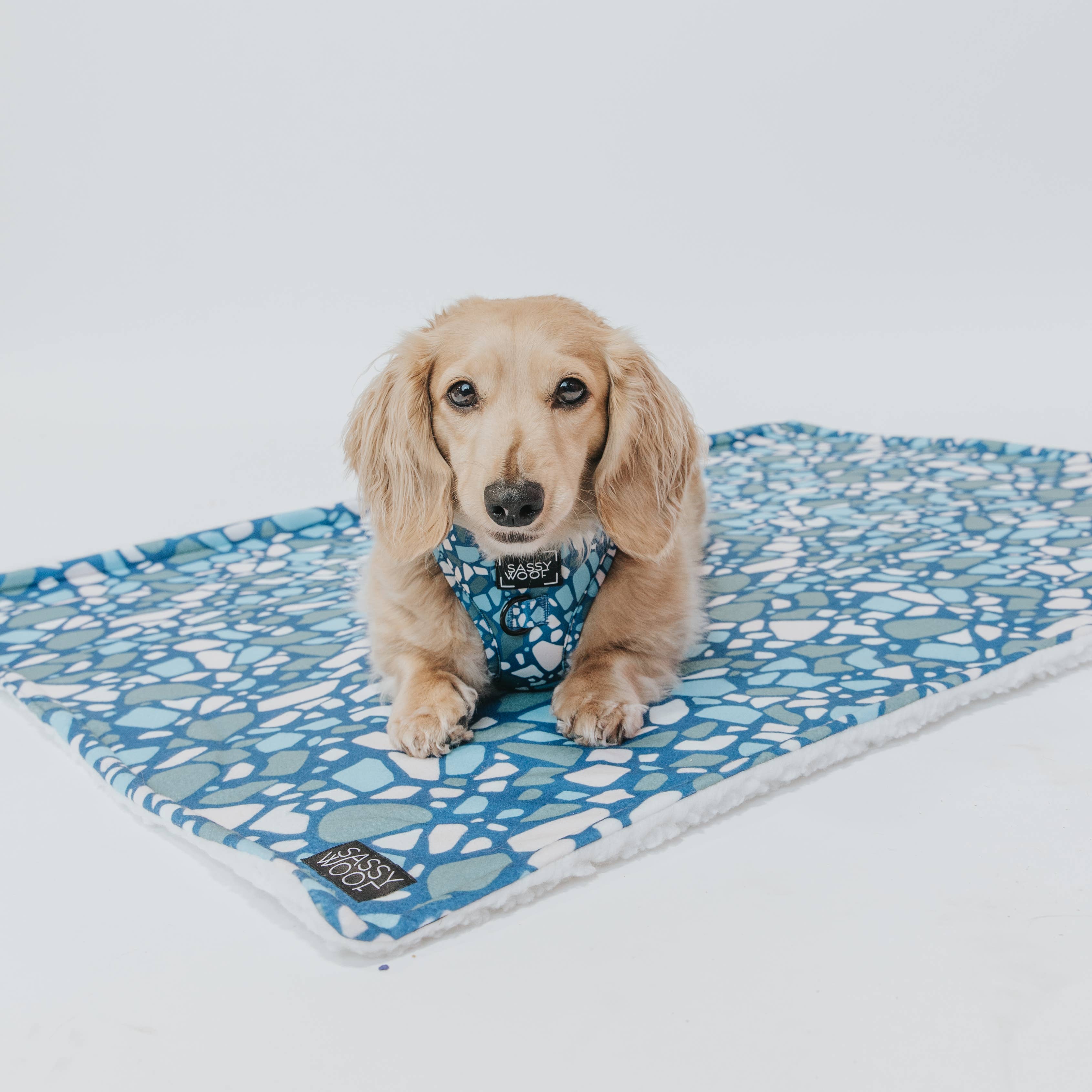SASSY WOOF - Dog Blanket - Santorini