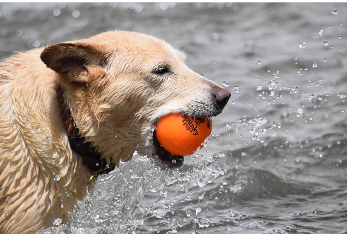 Spunky Pup - Fetch and Glow Ball: Large