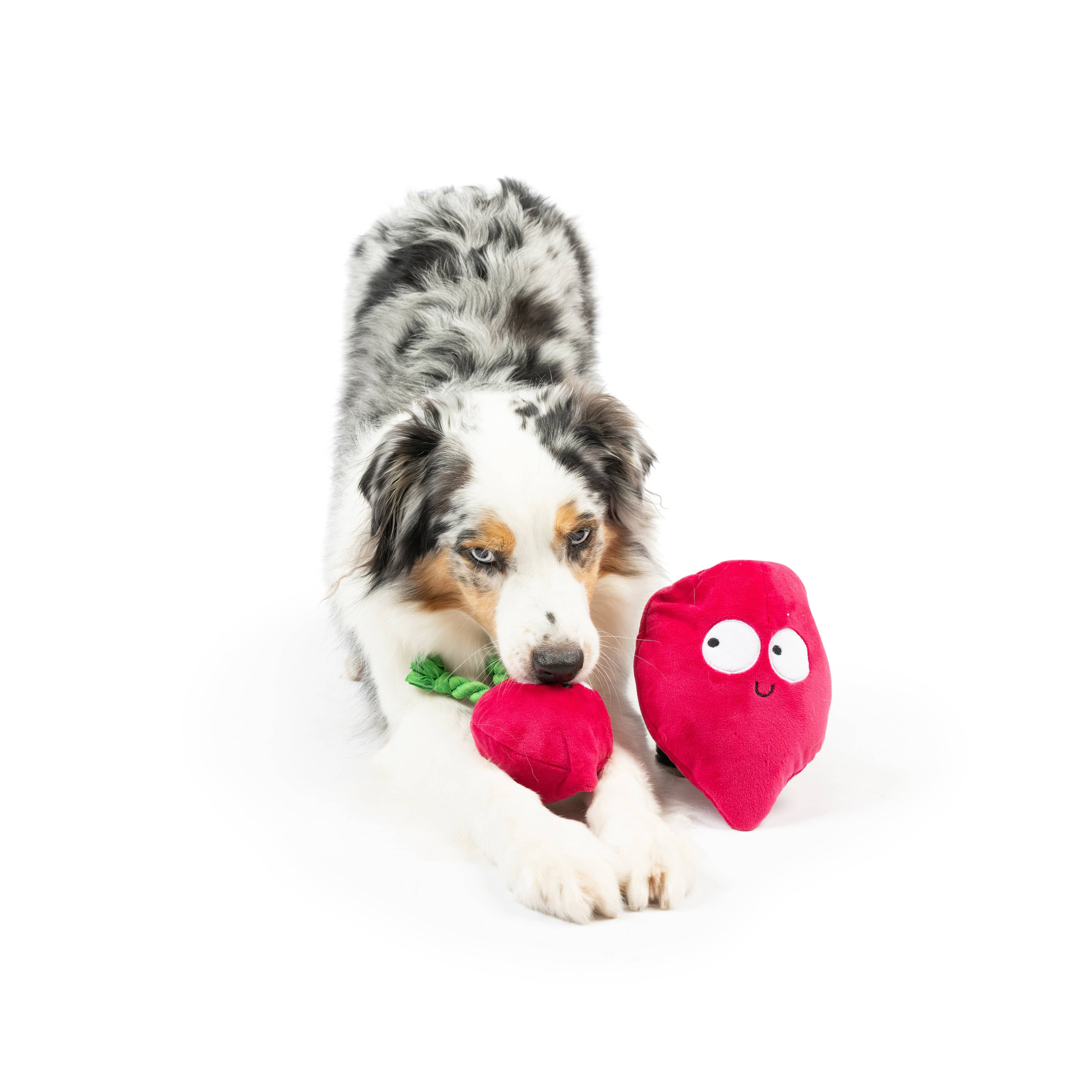 Huxley & Kent - Pop 'n Fetch Beet Dog Toy: Small