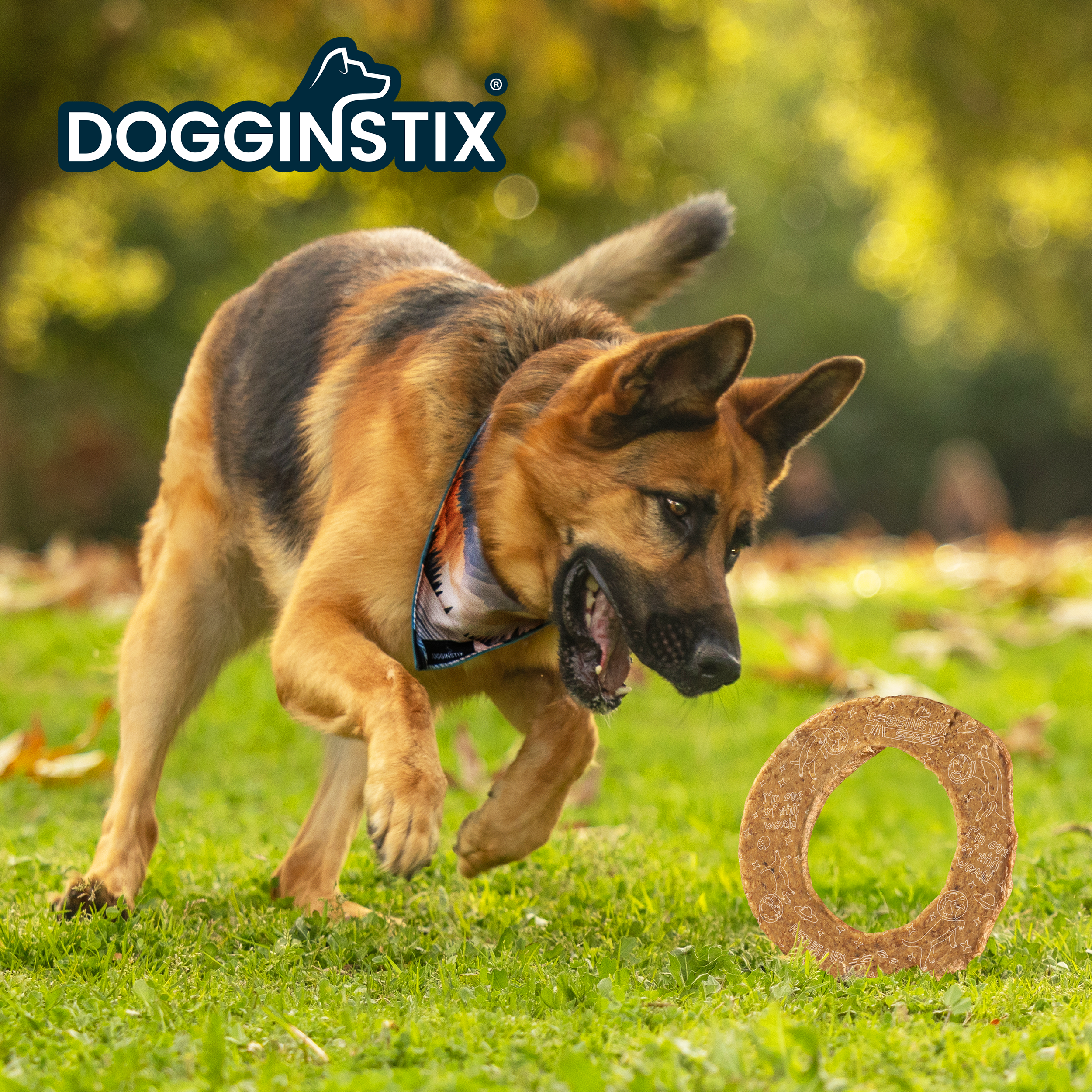 Dogginstix - Lamb Collagen - Cosmic Donut